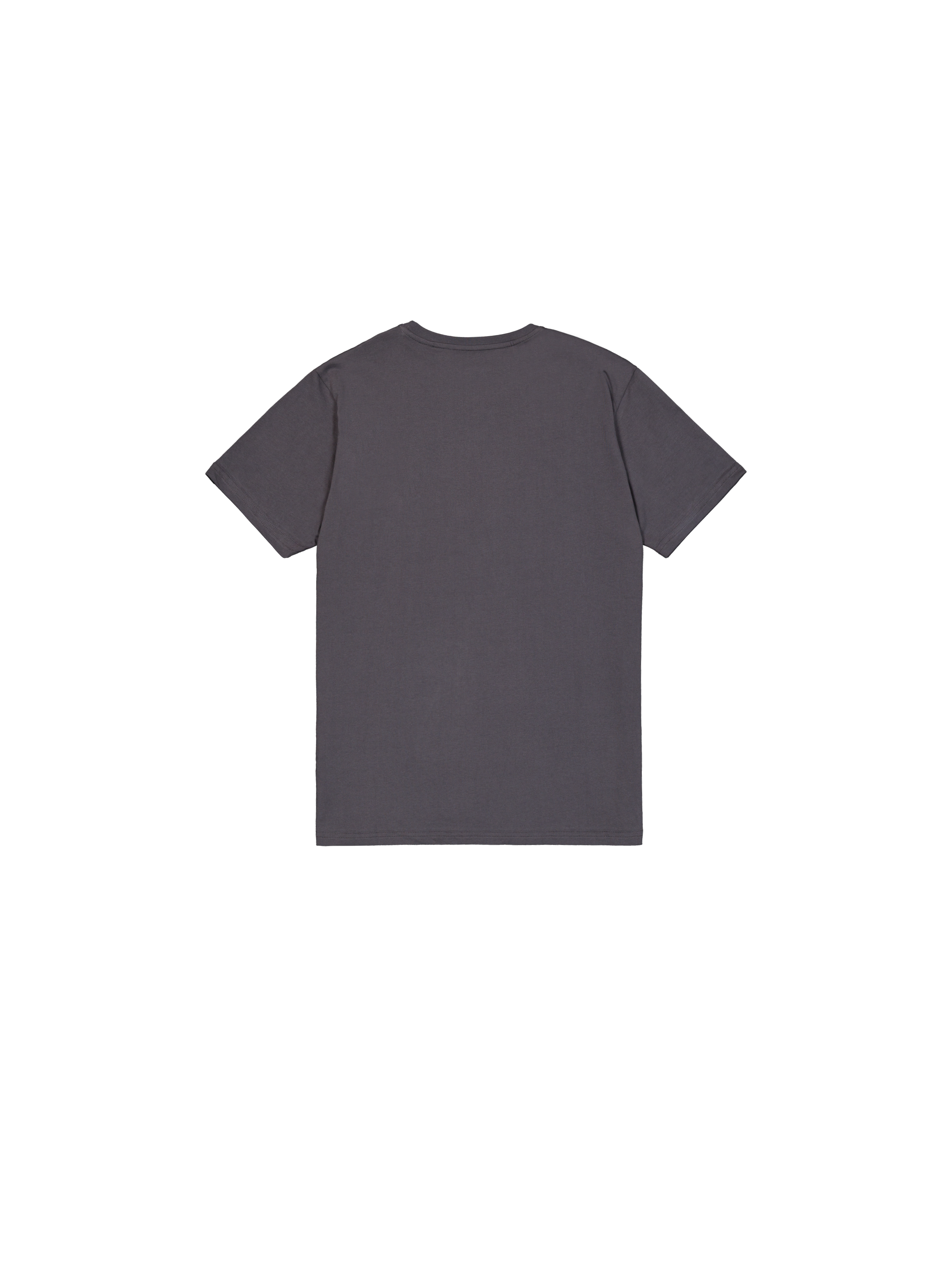Basic Big Logo Rubber T-Shirt vintage grey 100501RB_684_1_flatlay_00002_185742