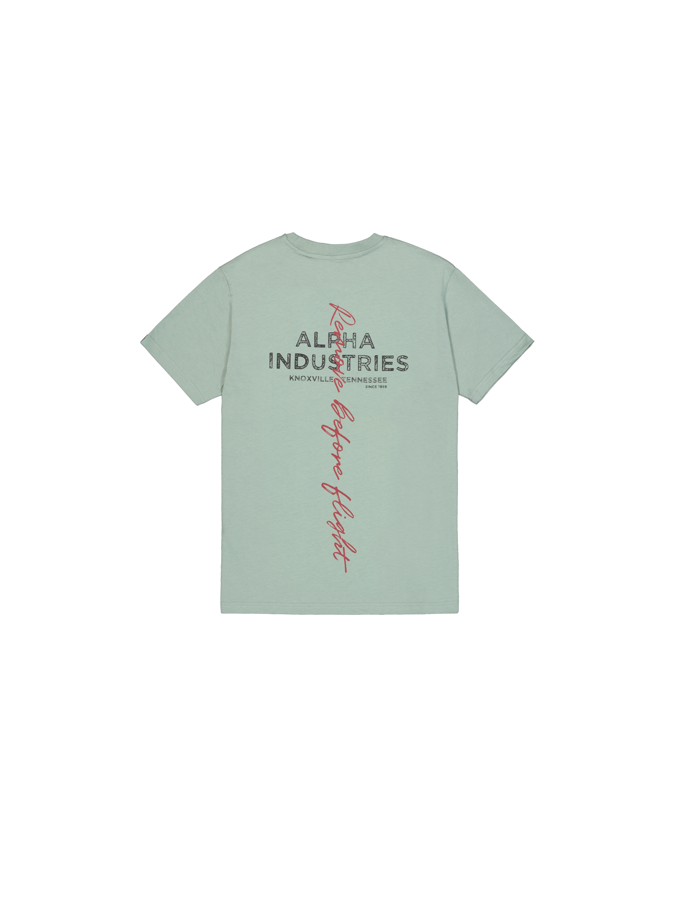 Signature Backprint T-Shirt frost green 148516_30_1_flatlay_00002_174979