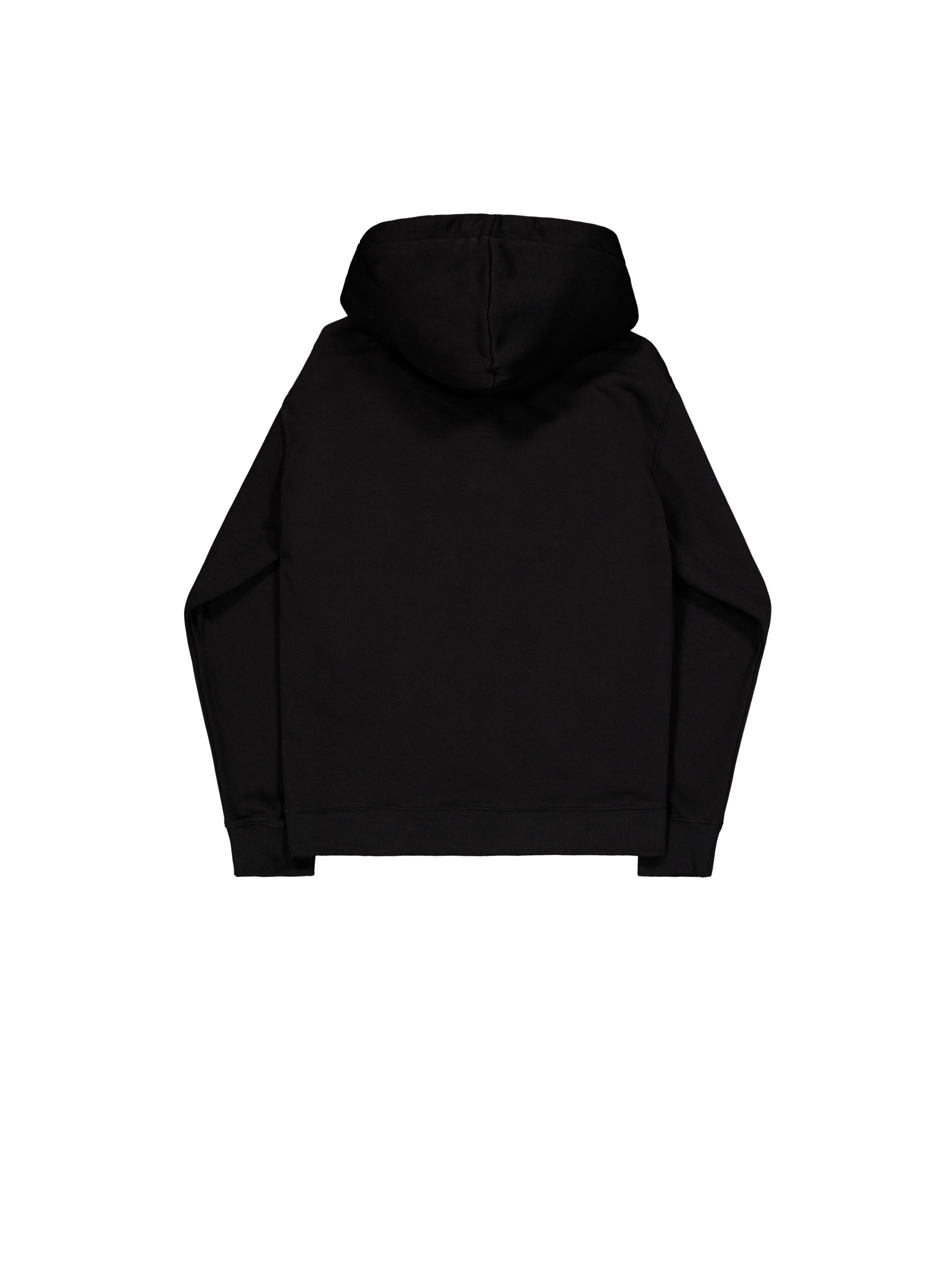 Basic Big Logo Hoodie black 178312_03_1_flatlay_00002_169092