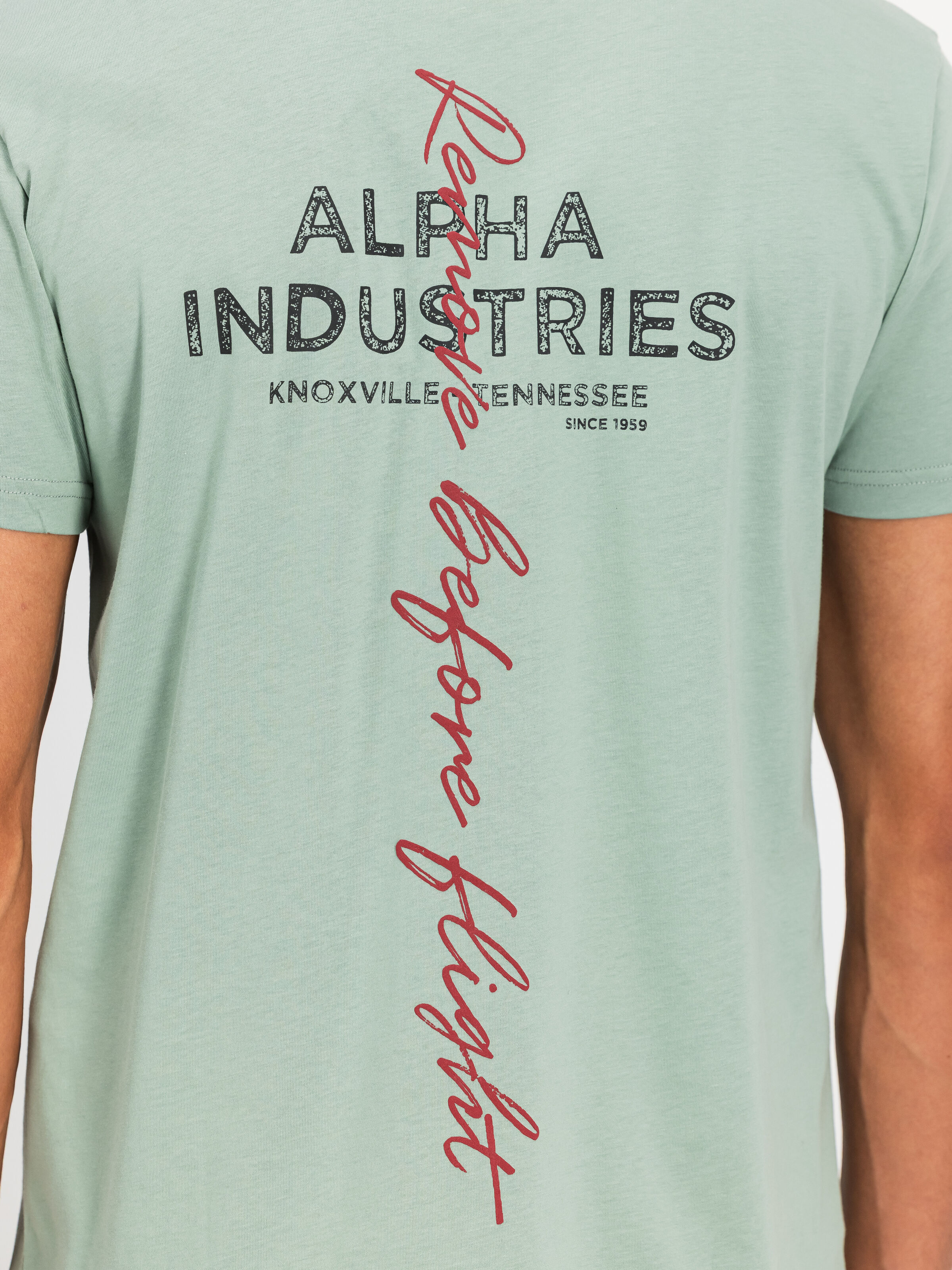 Signature Backprint T-Shirt frost green 148516_30_3_detail_00002_196706