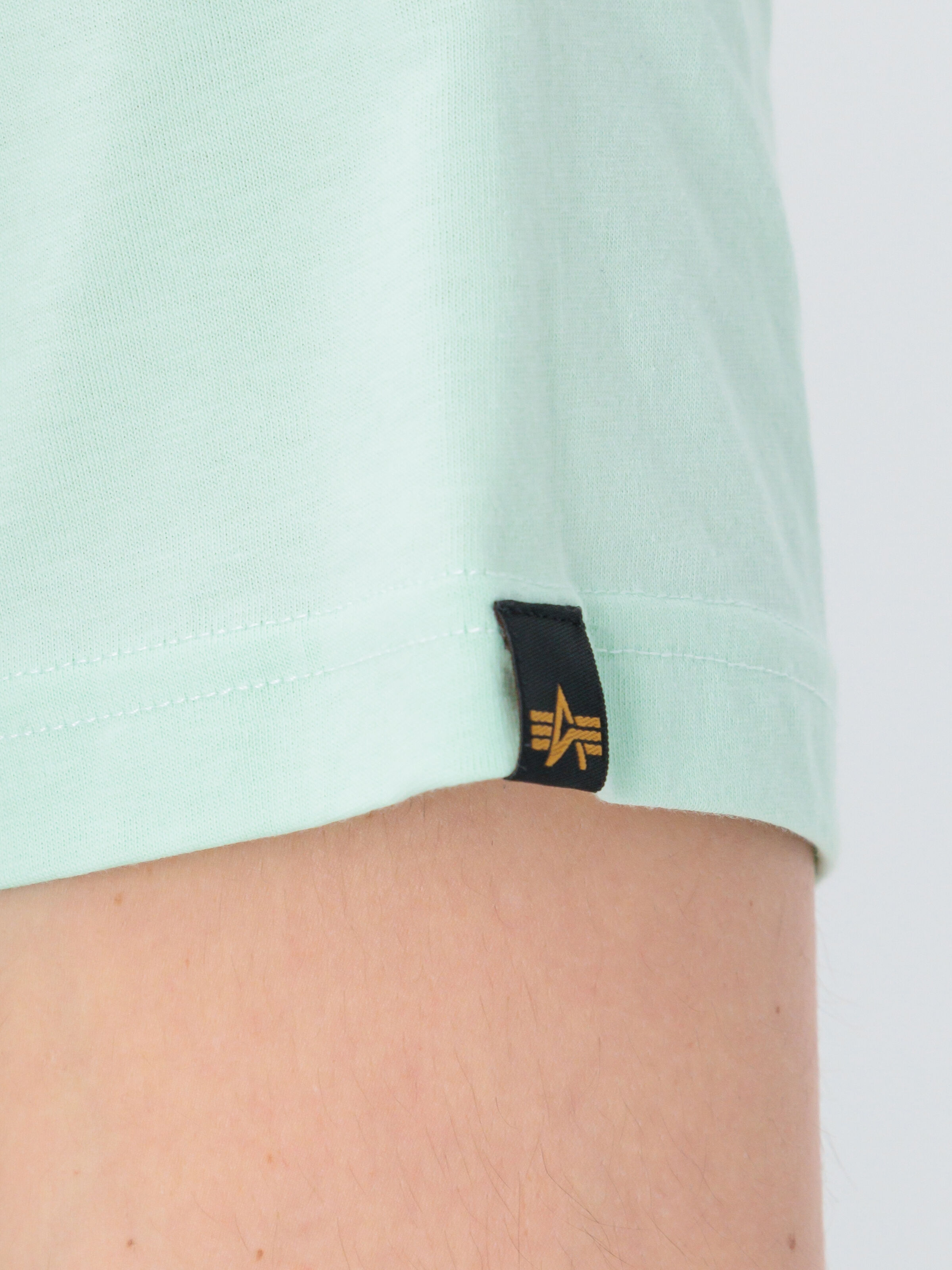 Basic Big Logo T-Shirt mint 100501_43_alpha_industries_basic_t_005_182136