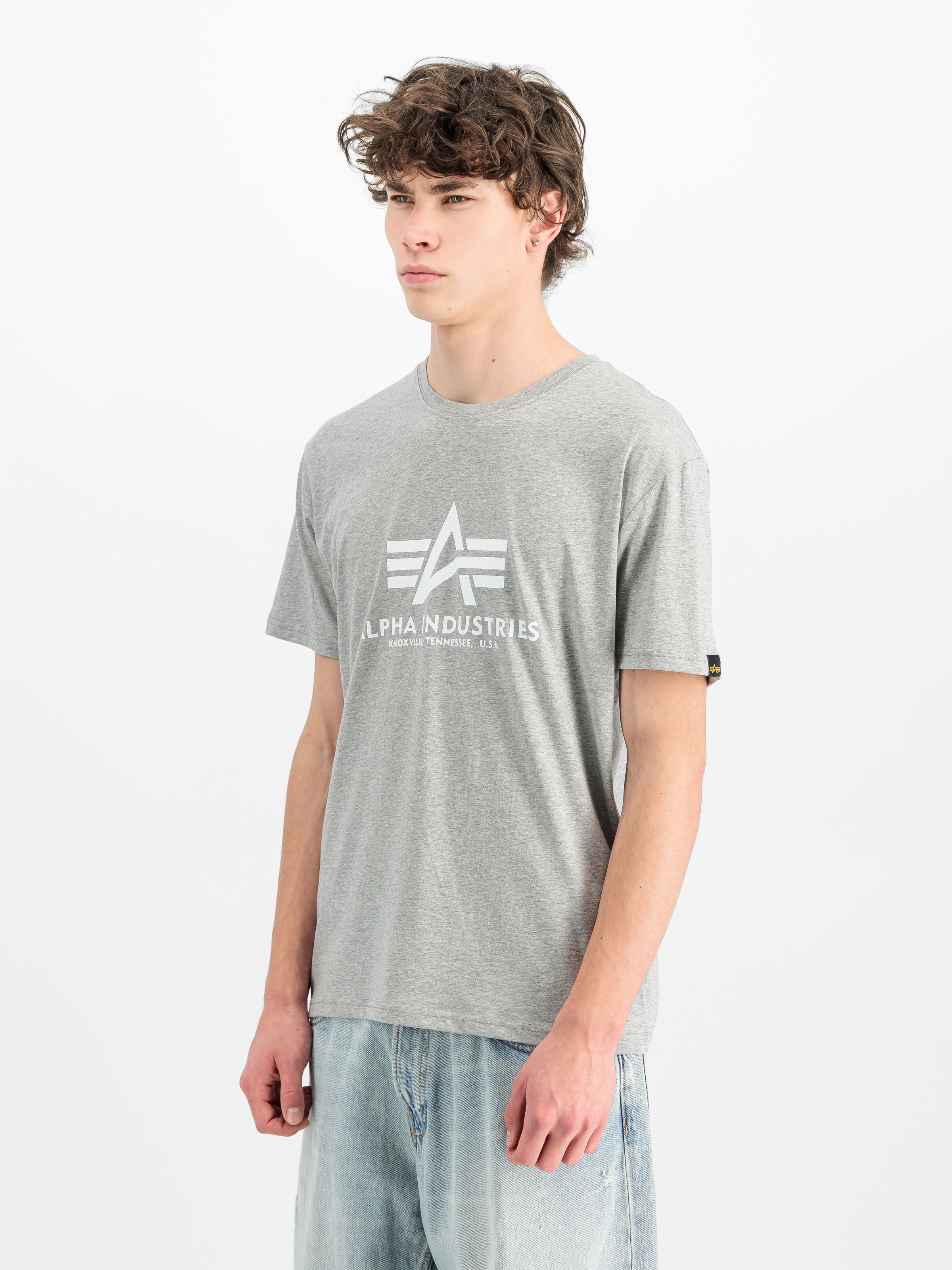 Basic Big Logo T-Shirt 2 Pack grey.heat/rep.blue 106524_641_2_model_00003_216648