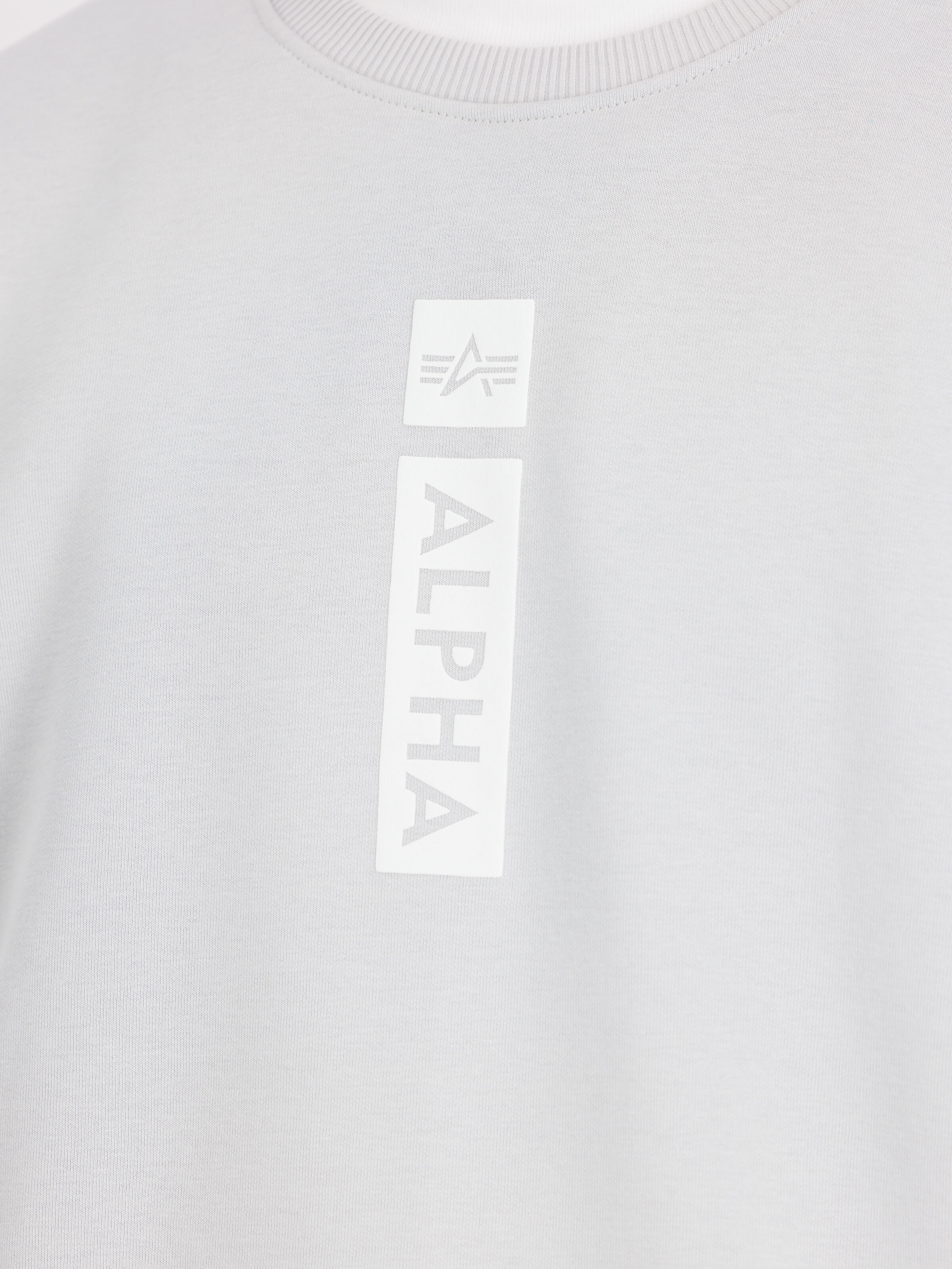 Alpha Puff Print Sweatshirt pastel grey 146305_666_3_detail_00001_152703