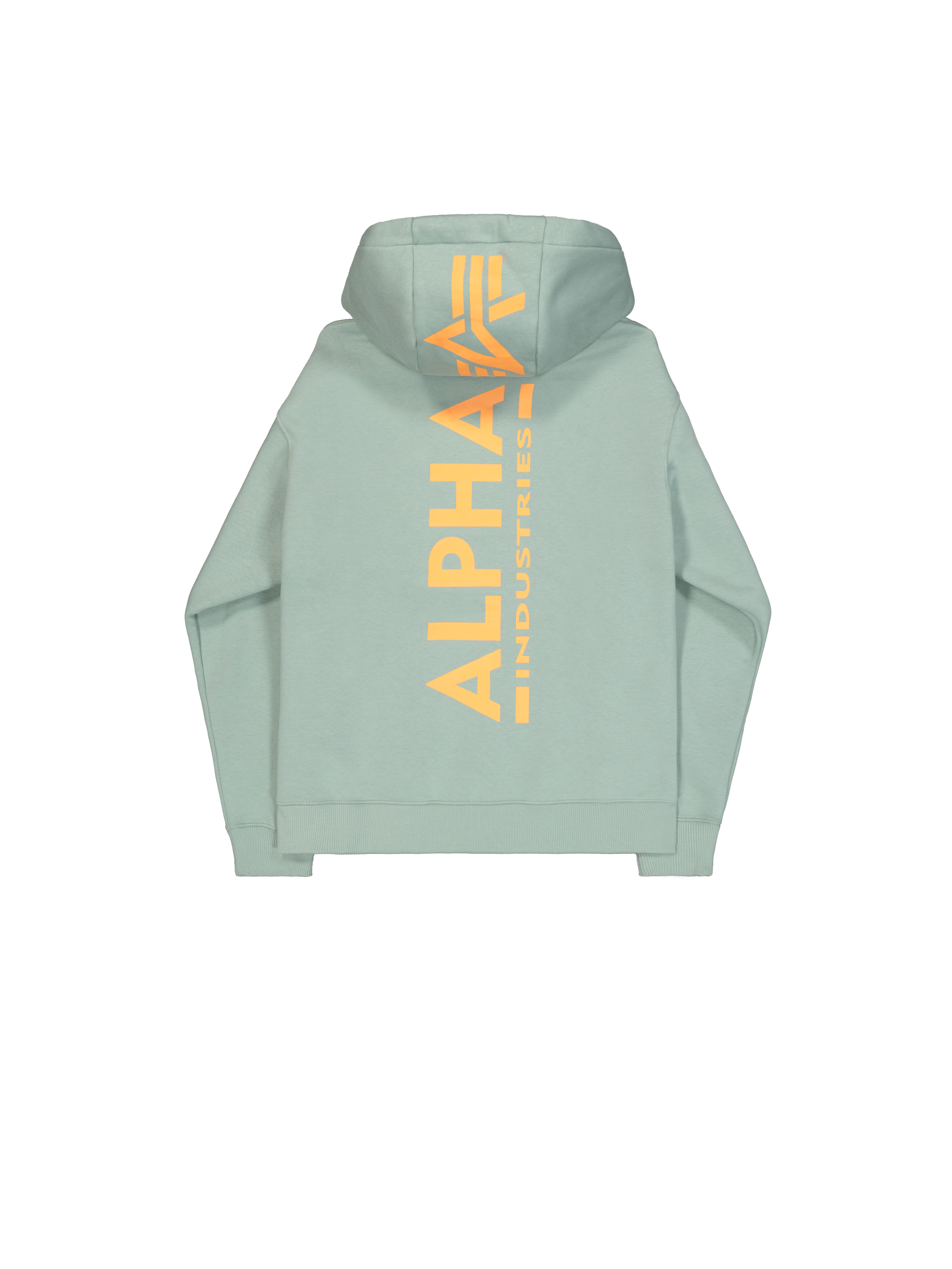 Backprint Hoodie frost green 178318_30_1_flatlay_00002_175429