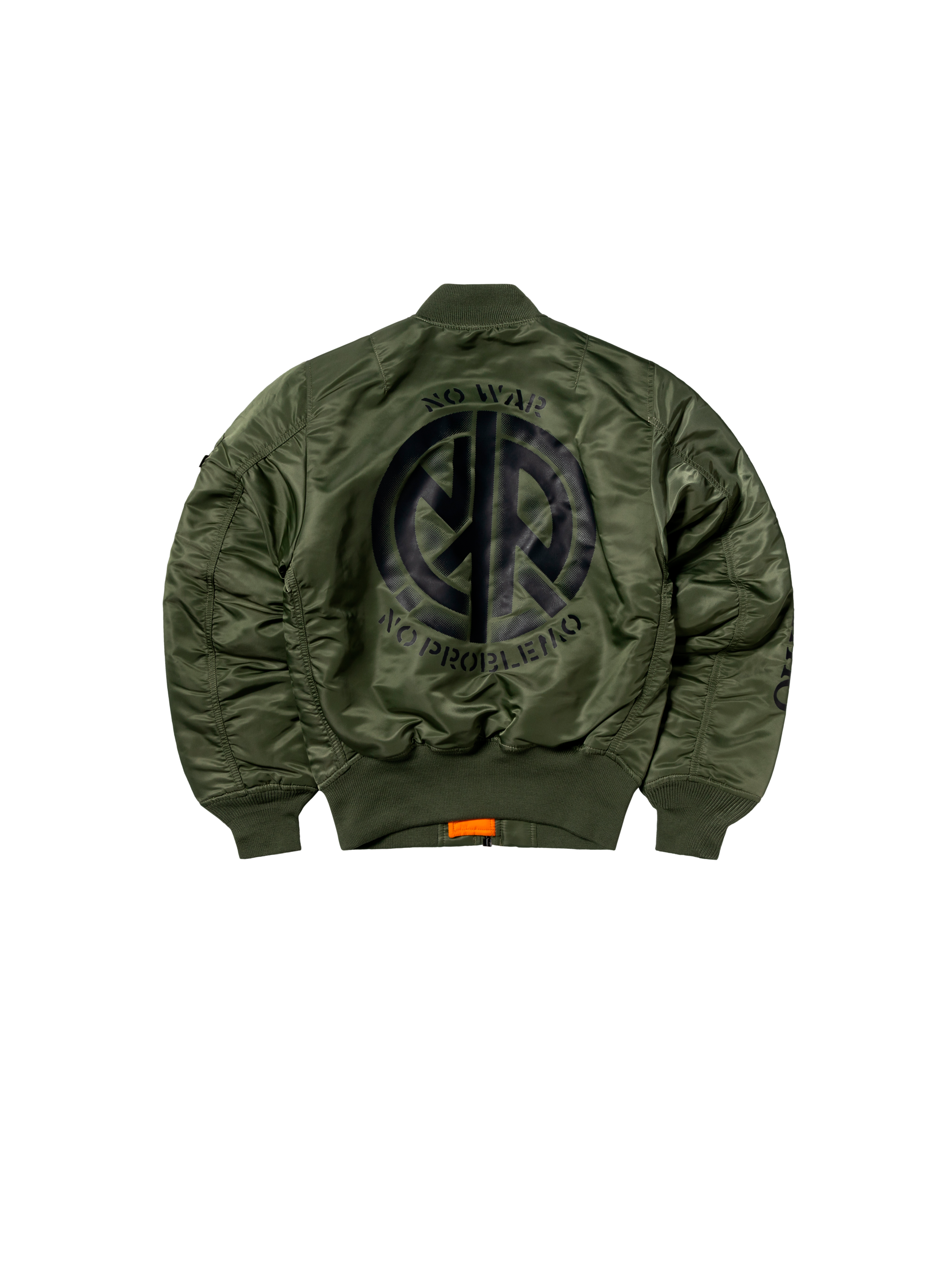 ALPHA X NO PROBLEMO NO WAR MA-1 sage-green 258160_01_1_flatlay_00002_194068