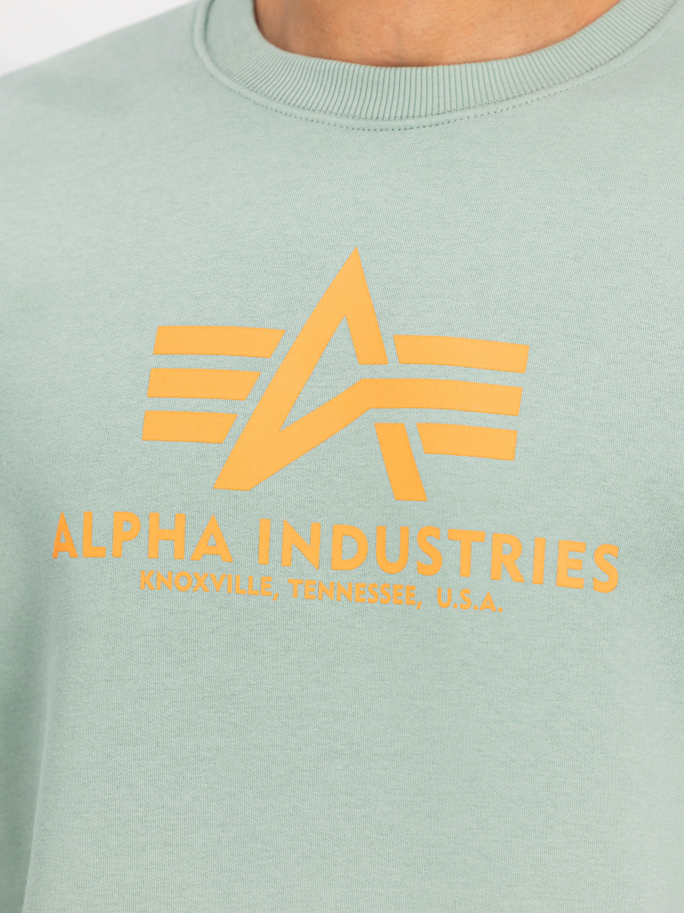 Basic Big Logo Sweatshirt frost green 178302_30_3_detail_00001_196673