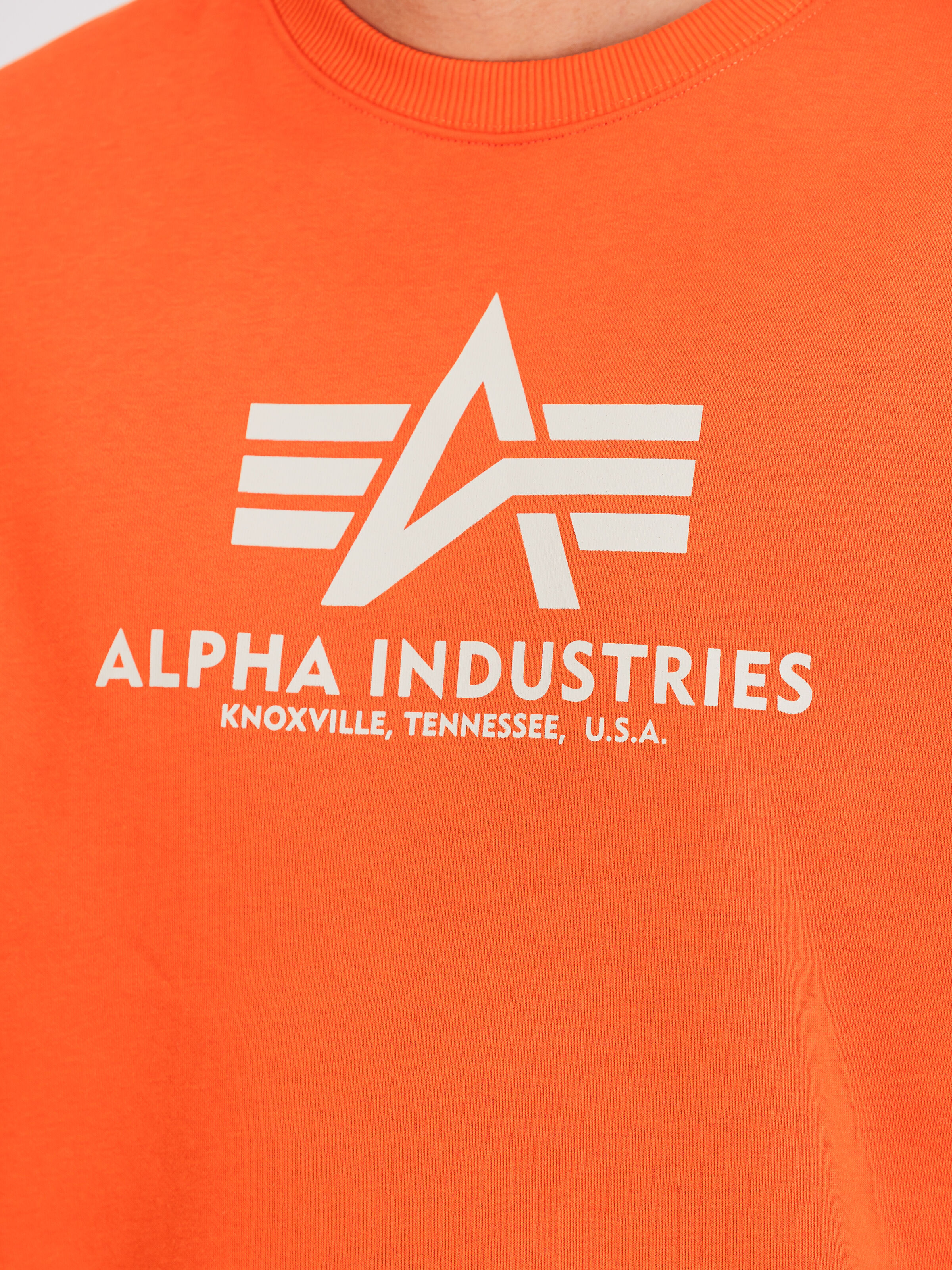 Basic Big Logo Sweatshirt boost orange 178302_736_3_detail_00001_118002