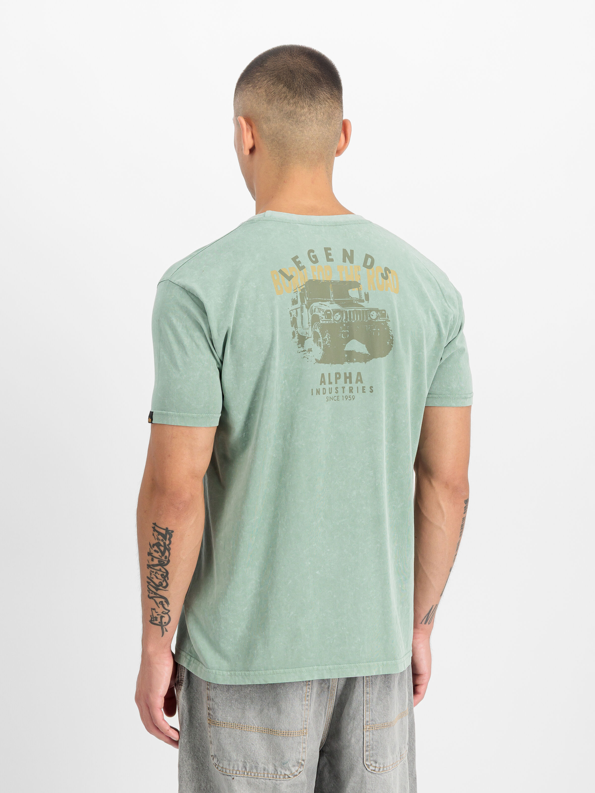 Alpha Legend T-Shirt frost green 266520_30_2_model_00003_215389