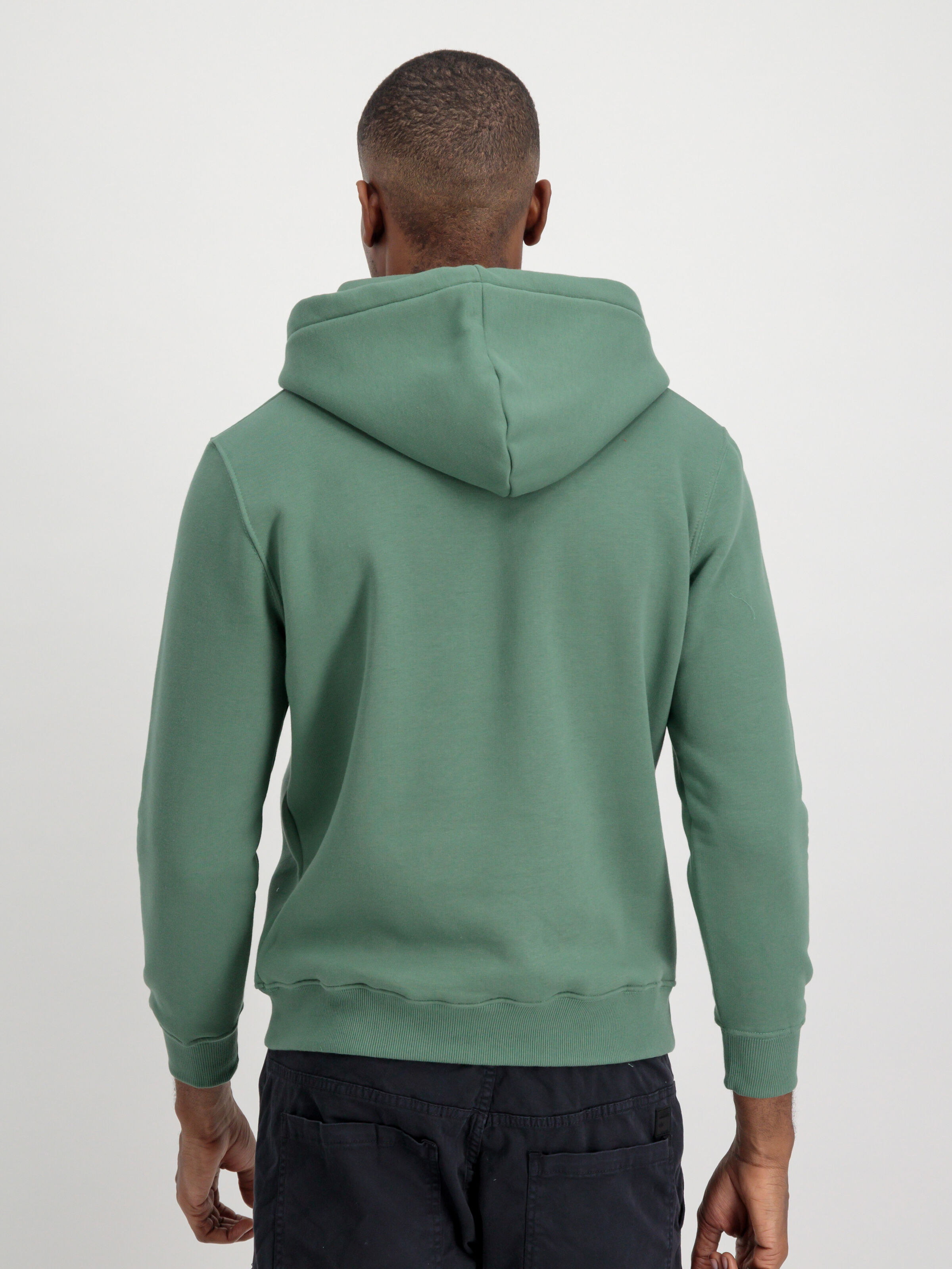 Basic Big Logo Hoodie ivy green 178312_659_alpha_industries_basic_hoody_004_182695