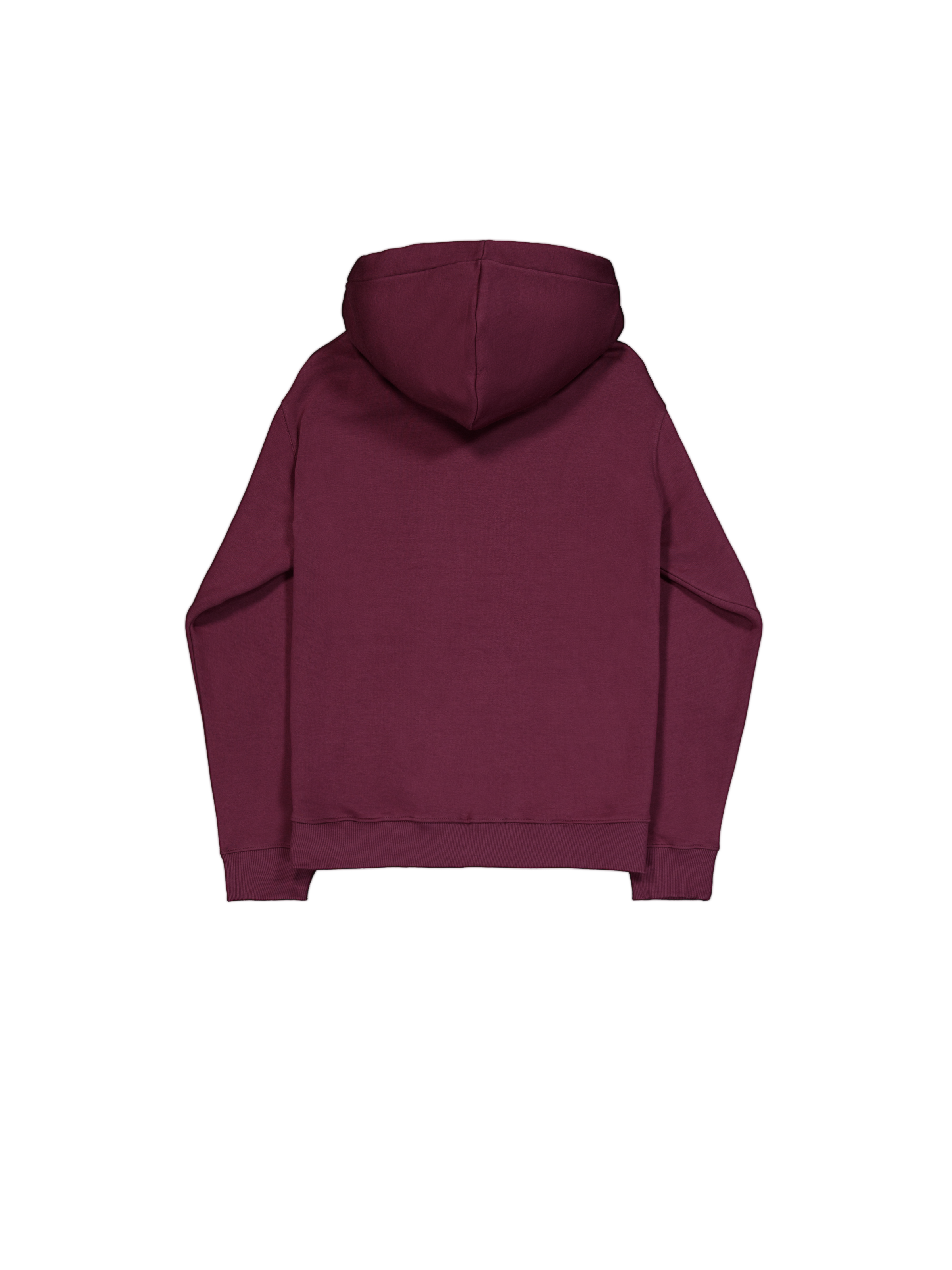 Basic Small Logo Hoodie dark cherry 196318_608_1_flatlay_00002_167110