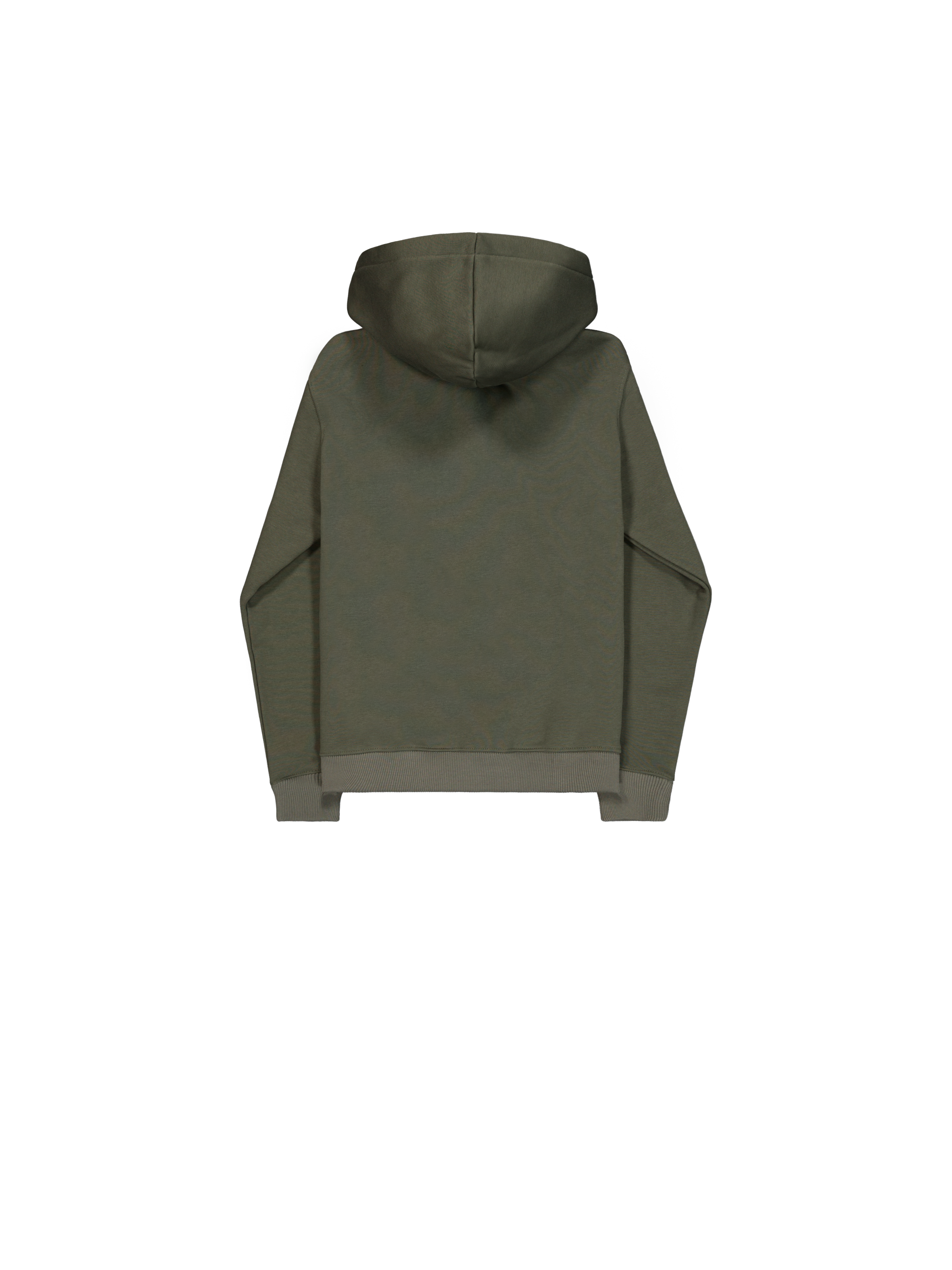 Basic Big Logo Mirror Leo Hoodie Women dark olive 196032ML_142_1_flatlay_00002_175125