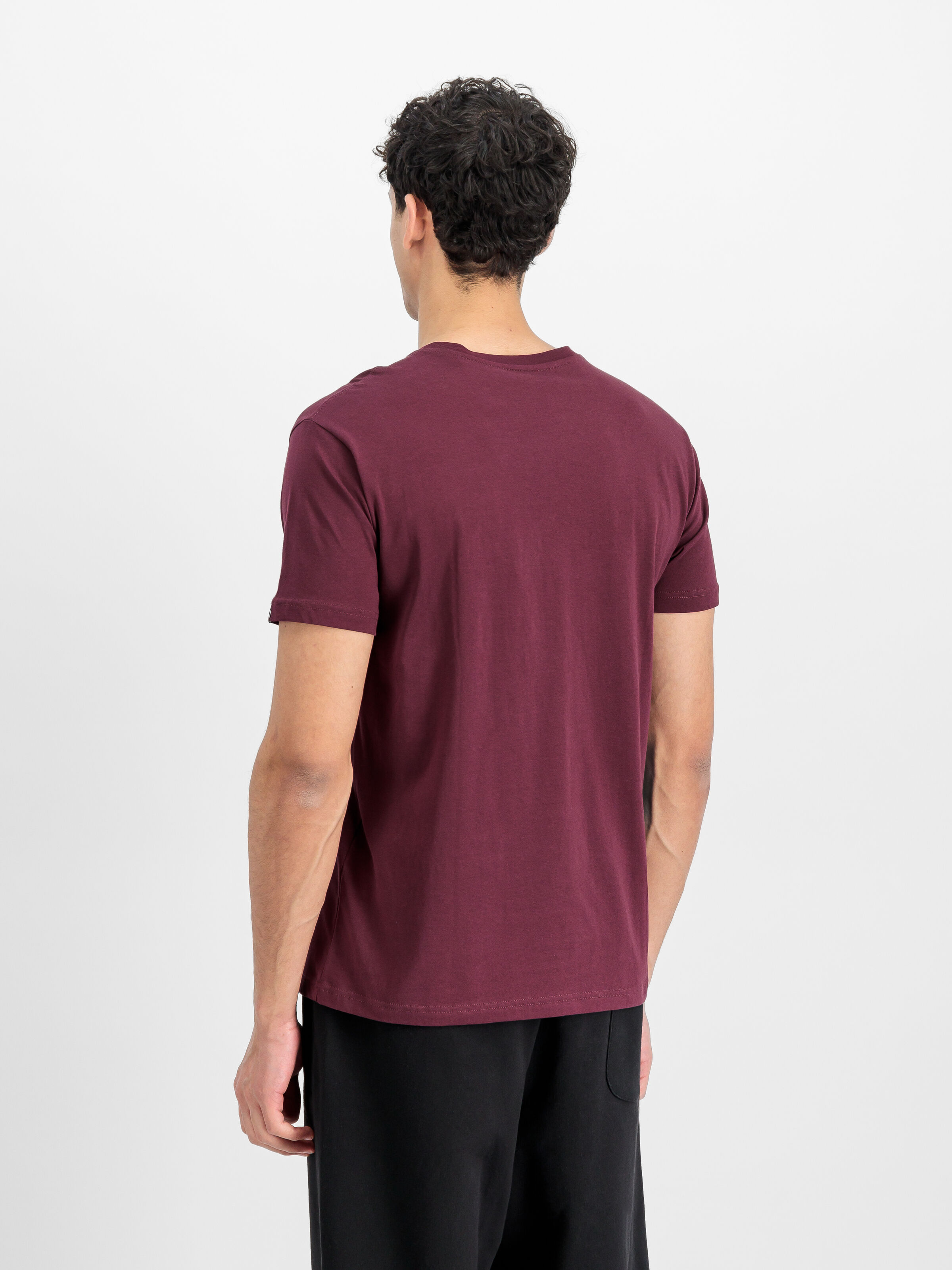 Basic Small Logo T-Shirt dark cherry 188505_608_2_model_00003_166743