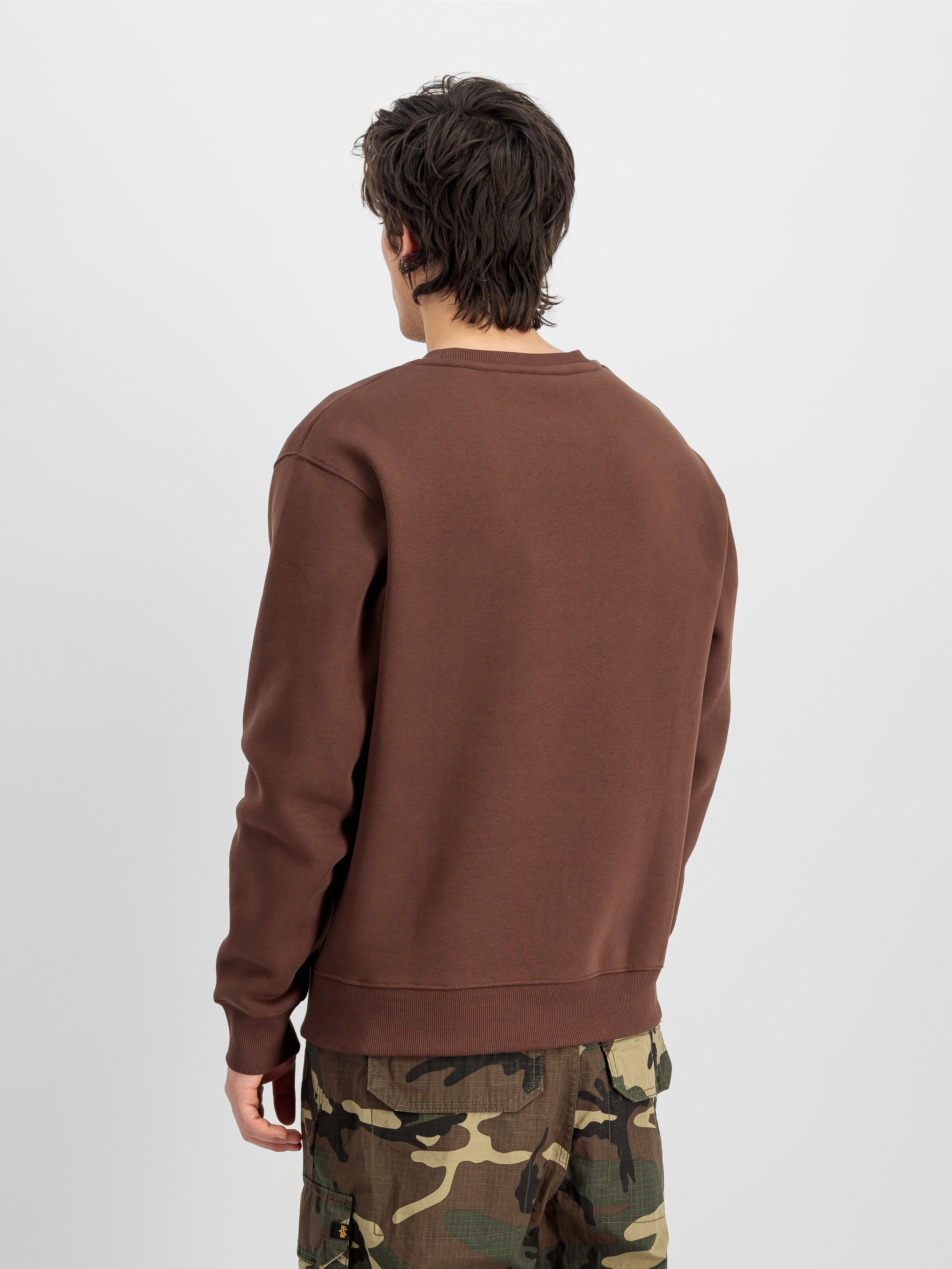 Basic Big Logo Sweatshirt powder brown 178302_204_2_model_00002_233269