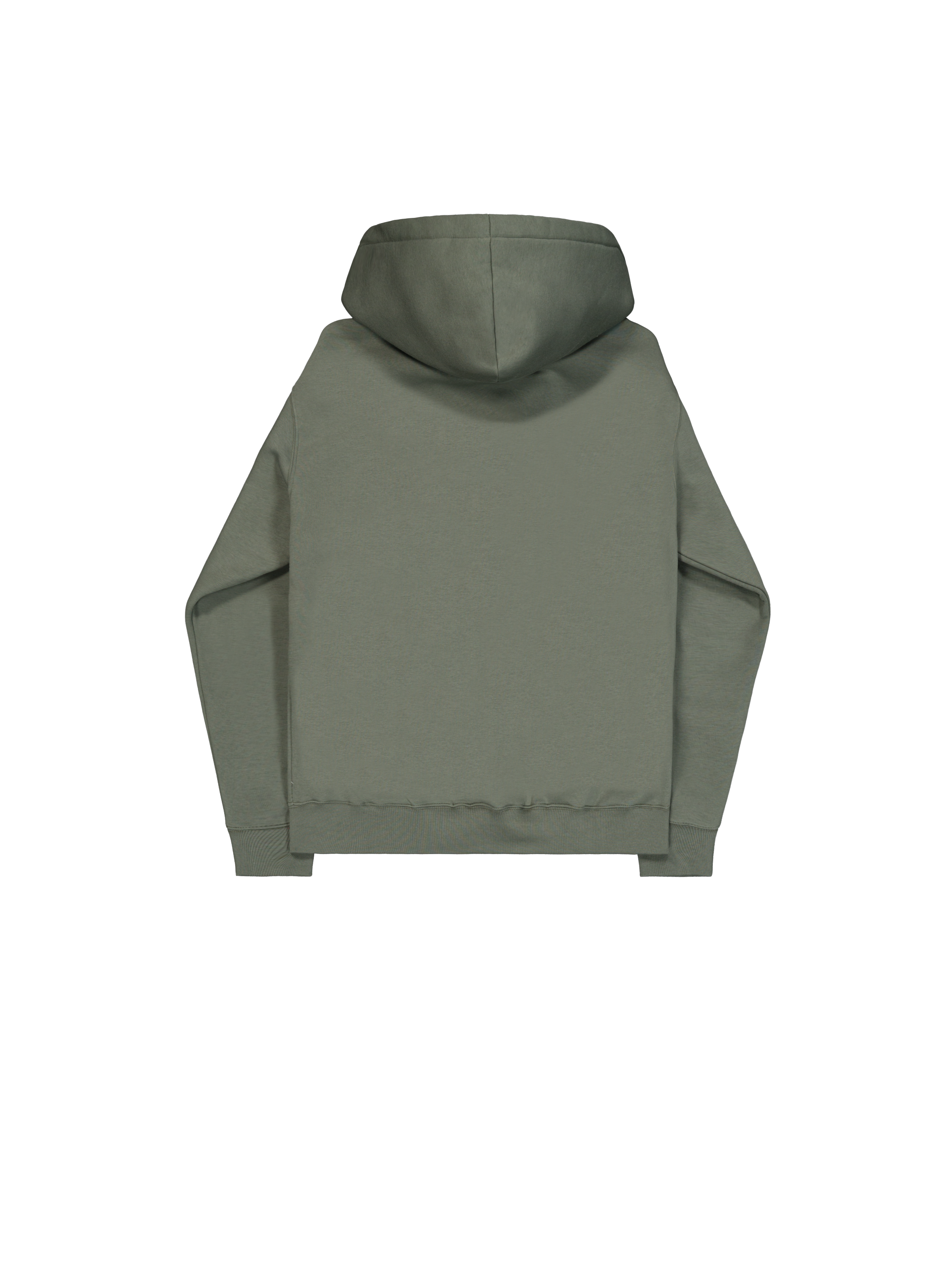 Basic Big Logo Hoodie vintage green 178312_432_1_flatlay_00002_187088