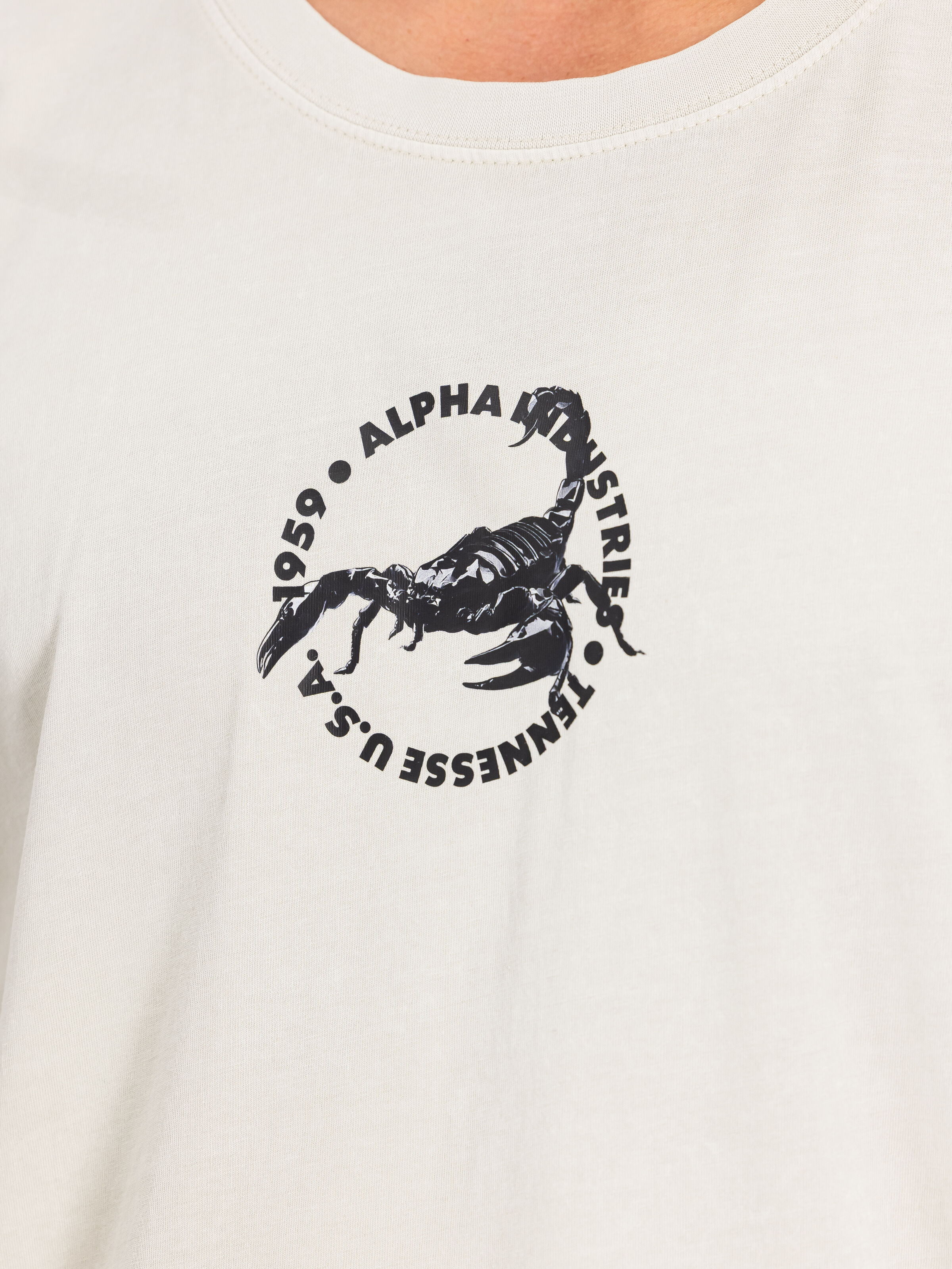 US Scorpion Backprint T-Shirt stone 266510_10_3_detail_00001_215572