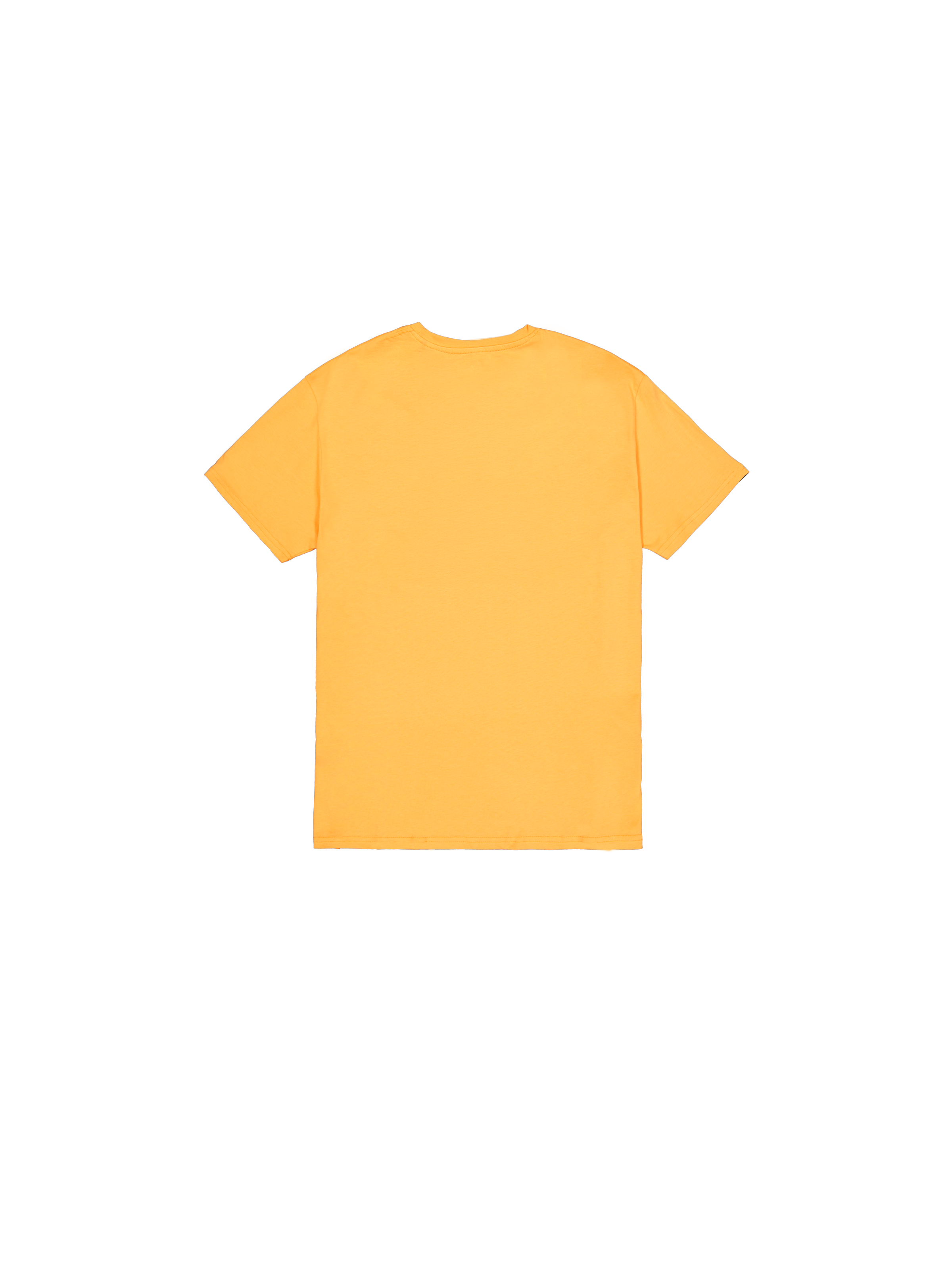 Alpha Label Puff Print T-Shirt tangerine 118502PP_710_1_flatlay_00002_223035