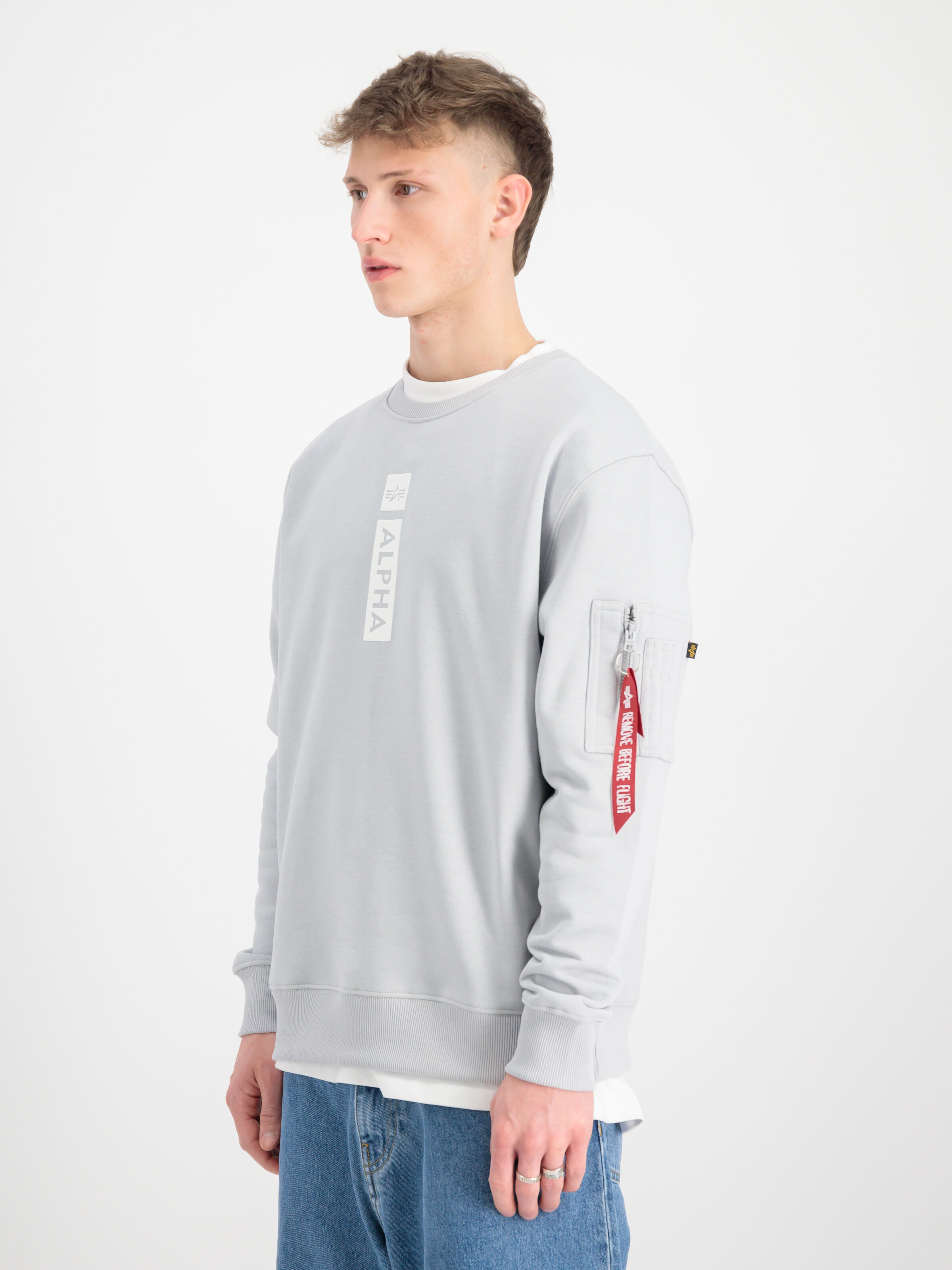 Alpha Puff Print Sweatshirt pastel grey 146305_666_2_model_00003_152701