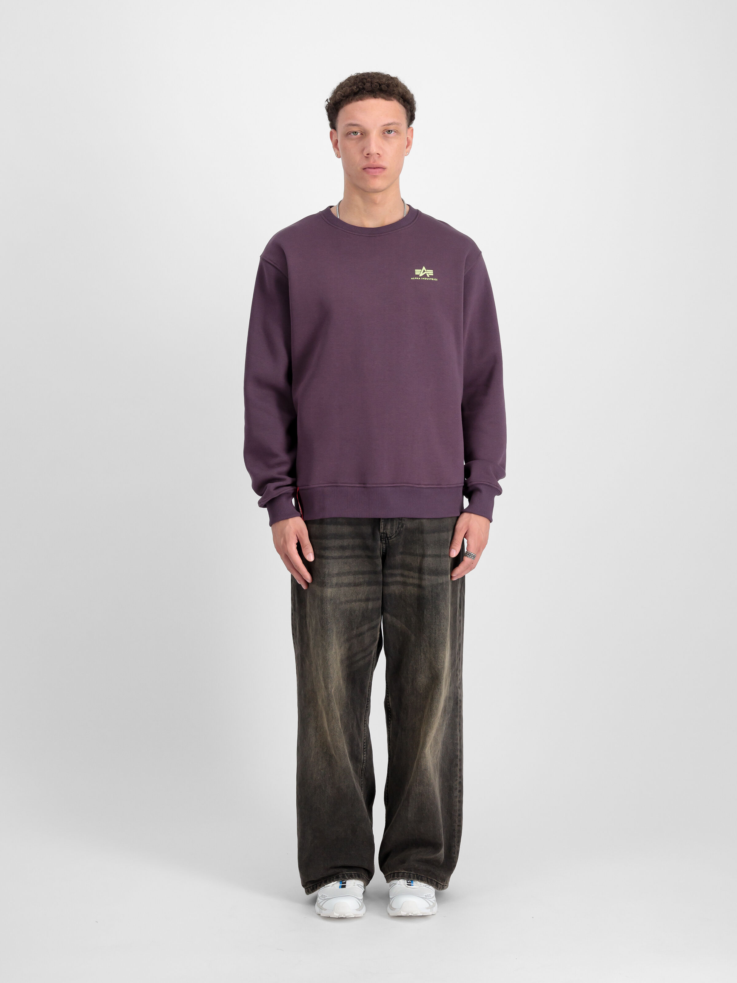 Basic Small Logo Sweatshirt Plum 188307_719_2_model_00001_97392