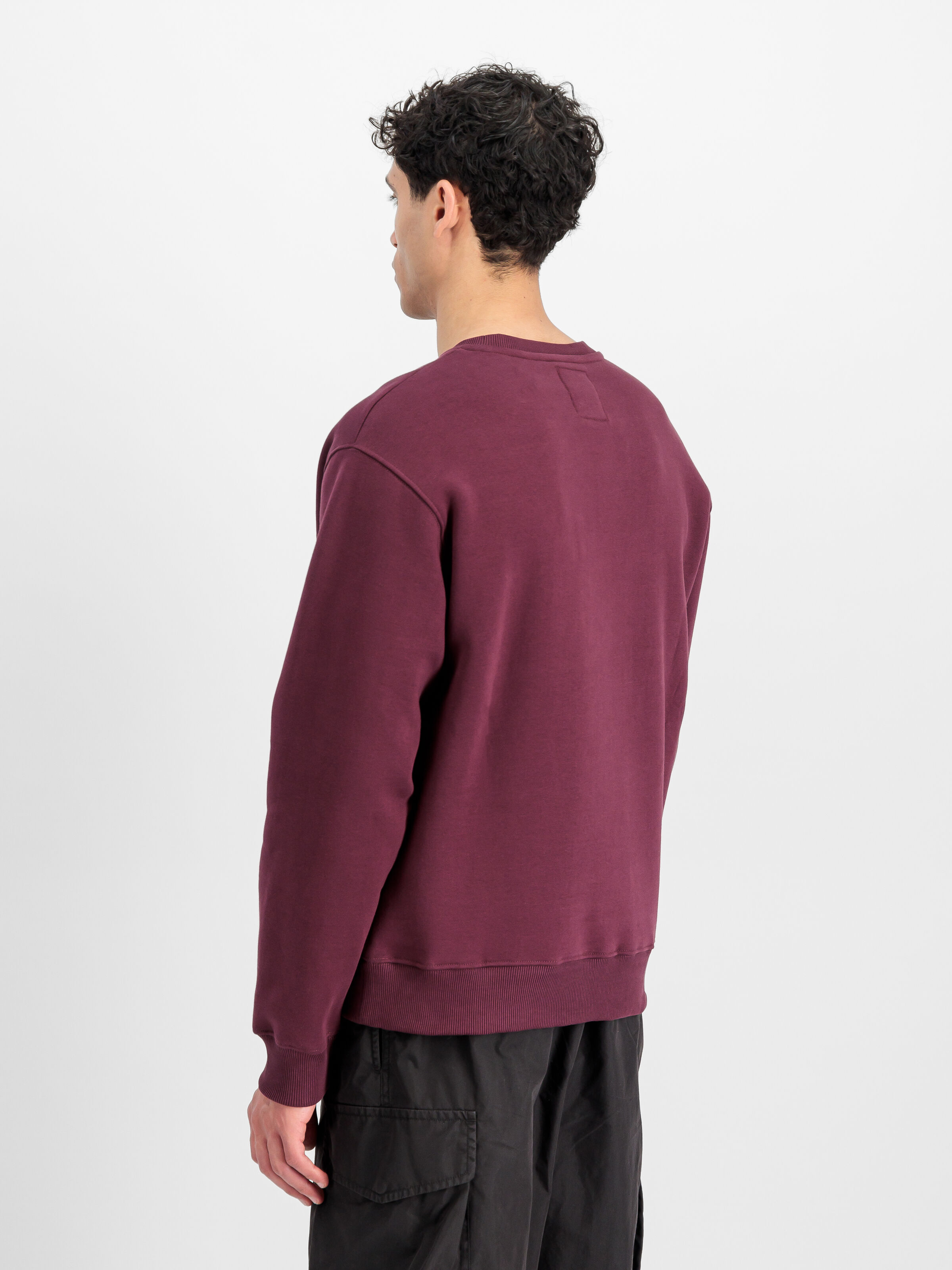 Basic Big Logo Sweatshirt dark cherry 178302_608_2_model_00003_166312