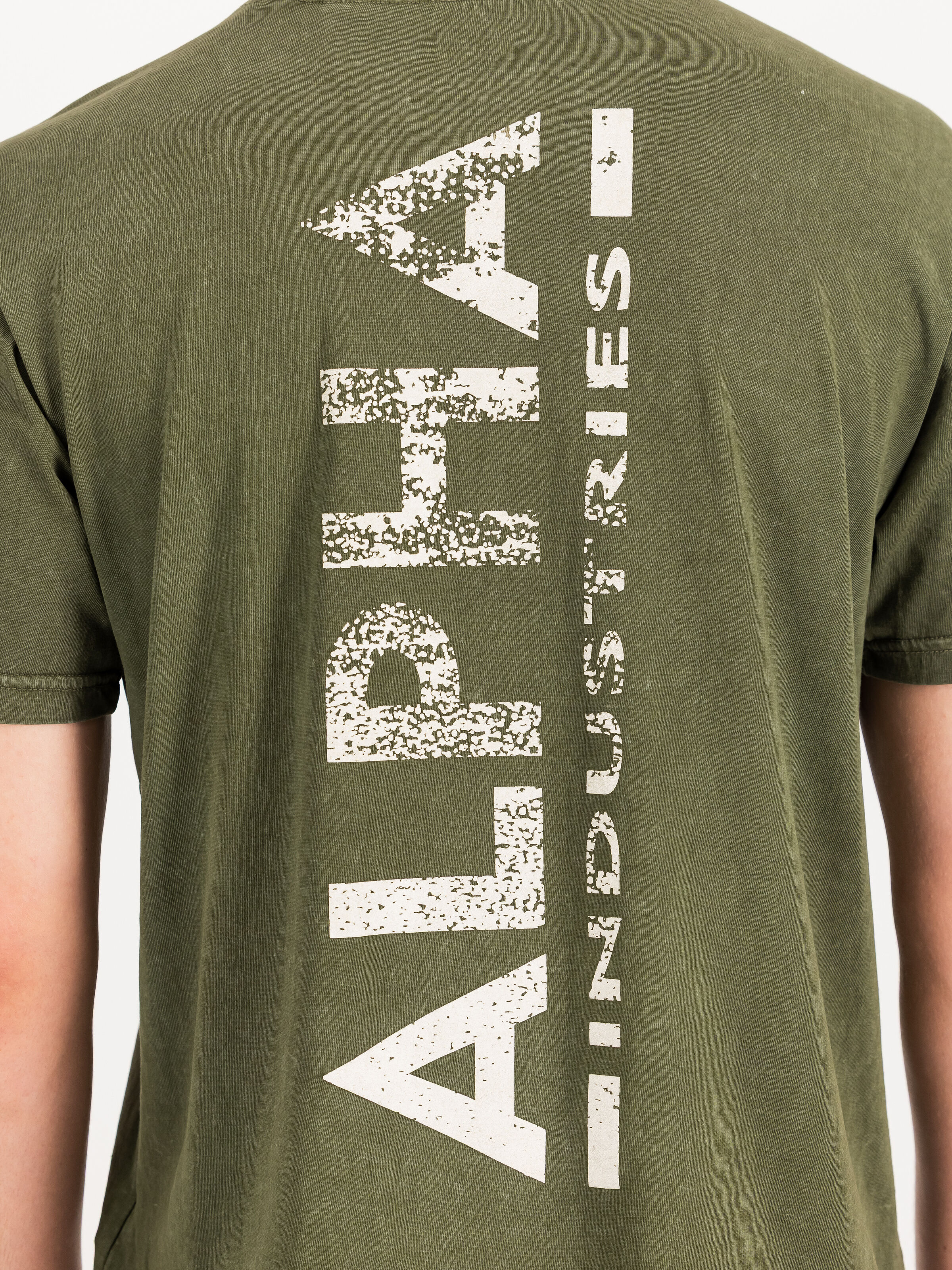 Vintage Backprint T-Shirt dark olive 258508_142_3_detail_00002_247310