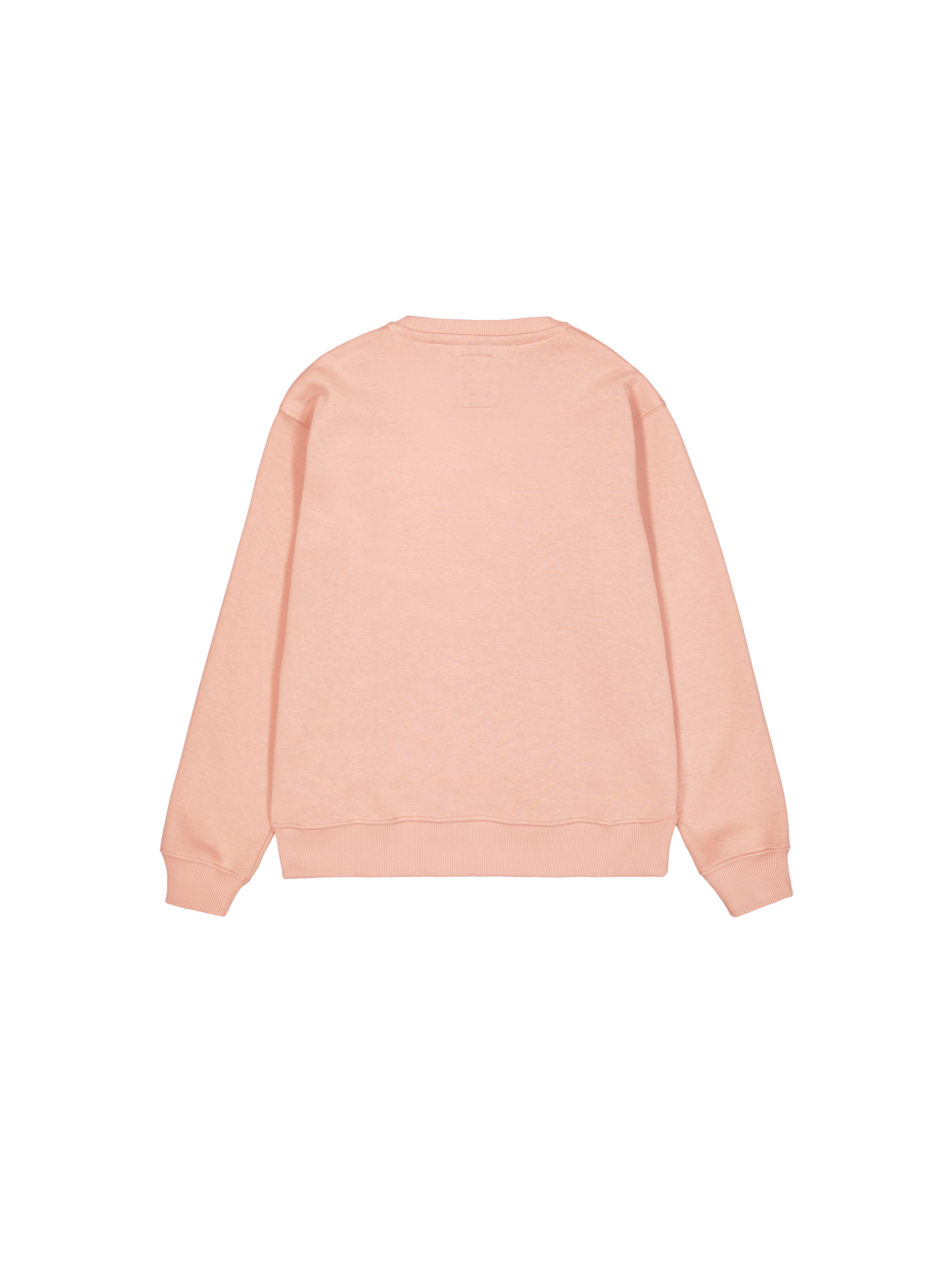 Basic Big Logo Sweatshirt Dusty Coral 178302_721_1_flatlay_00002_97578