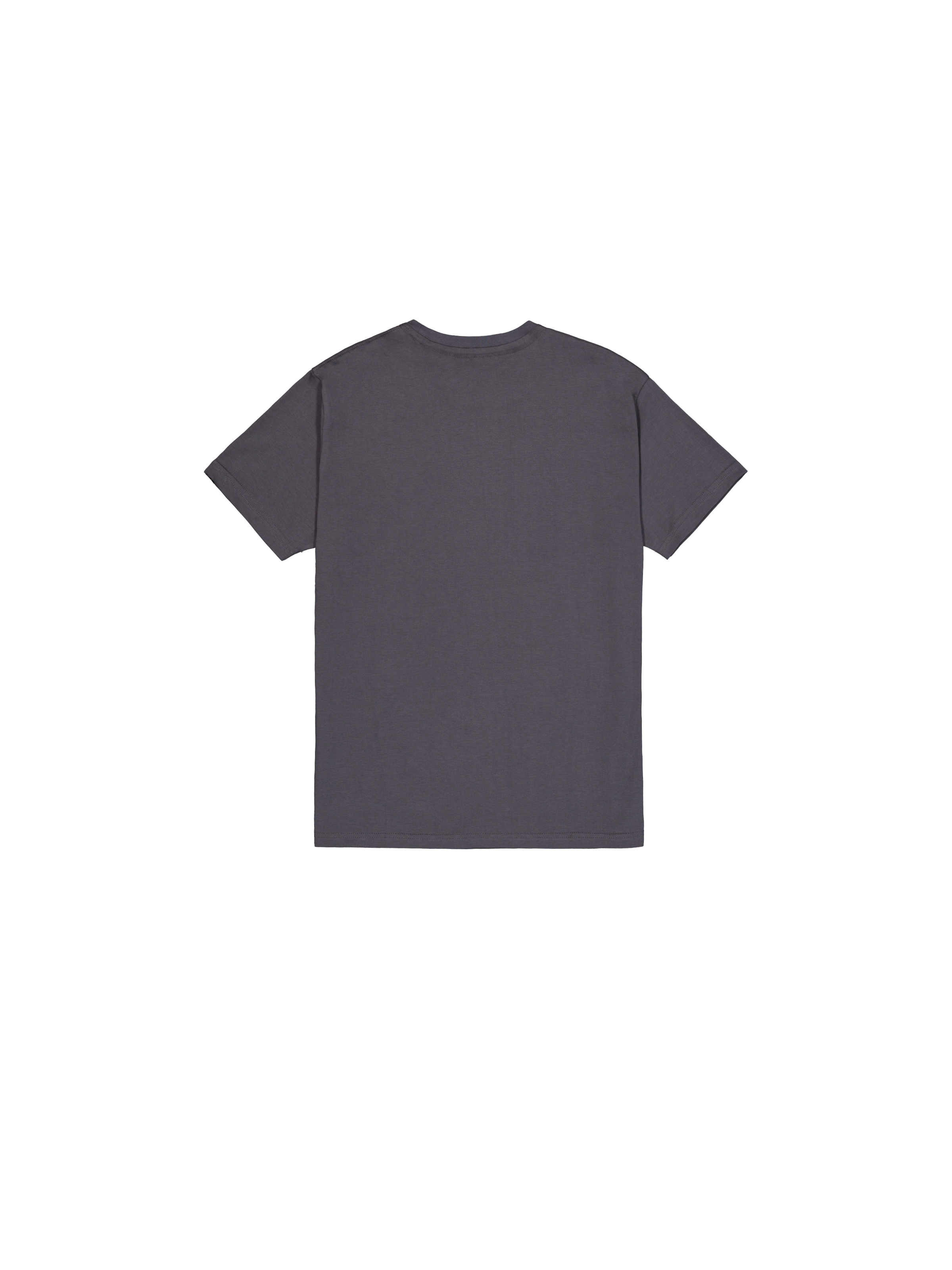 Satin Logo T-Shirt vintage grey 148513_684_1_flatlay_00002_160451