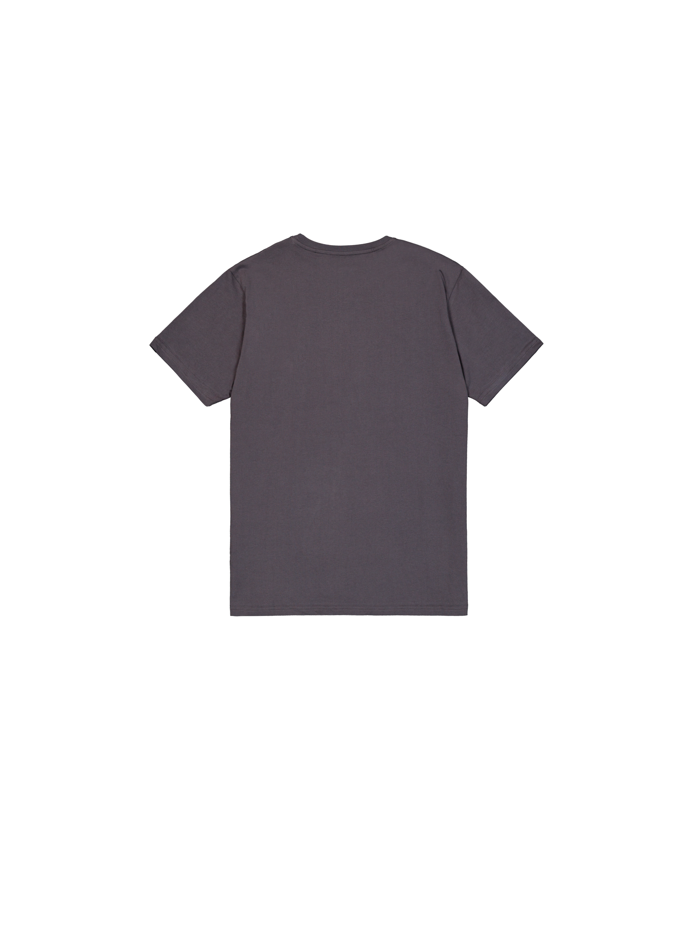 Alpha Puff Print T-Shirt vintage grey 146509_684_1_flatlay_00002_222806
