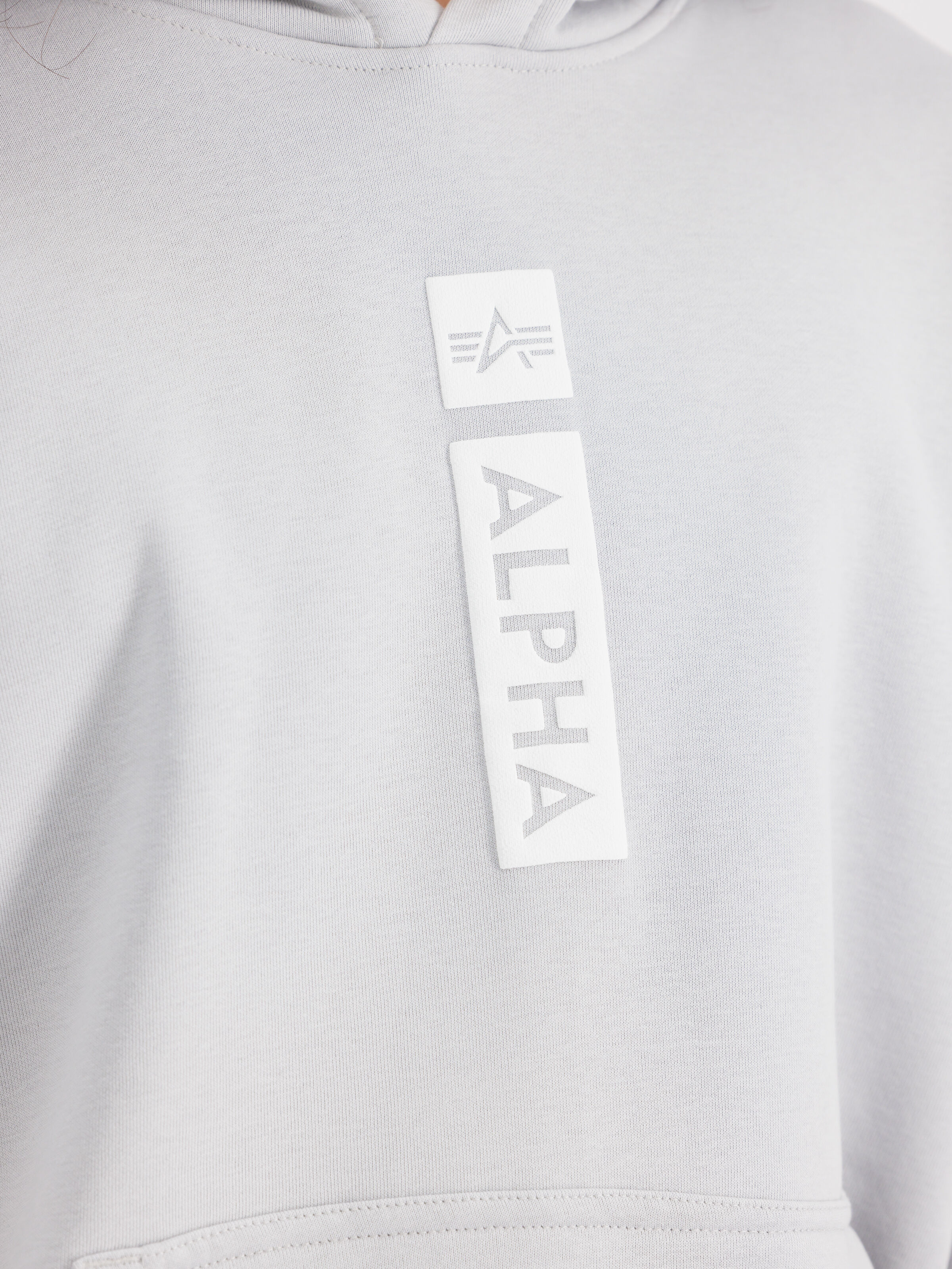 Alpha Puff Print Hoodie pastel grey 146338_666_3_detail_00001_99673