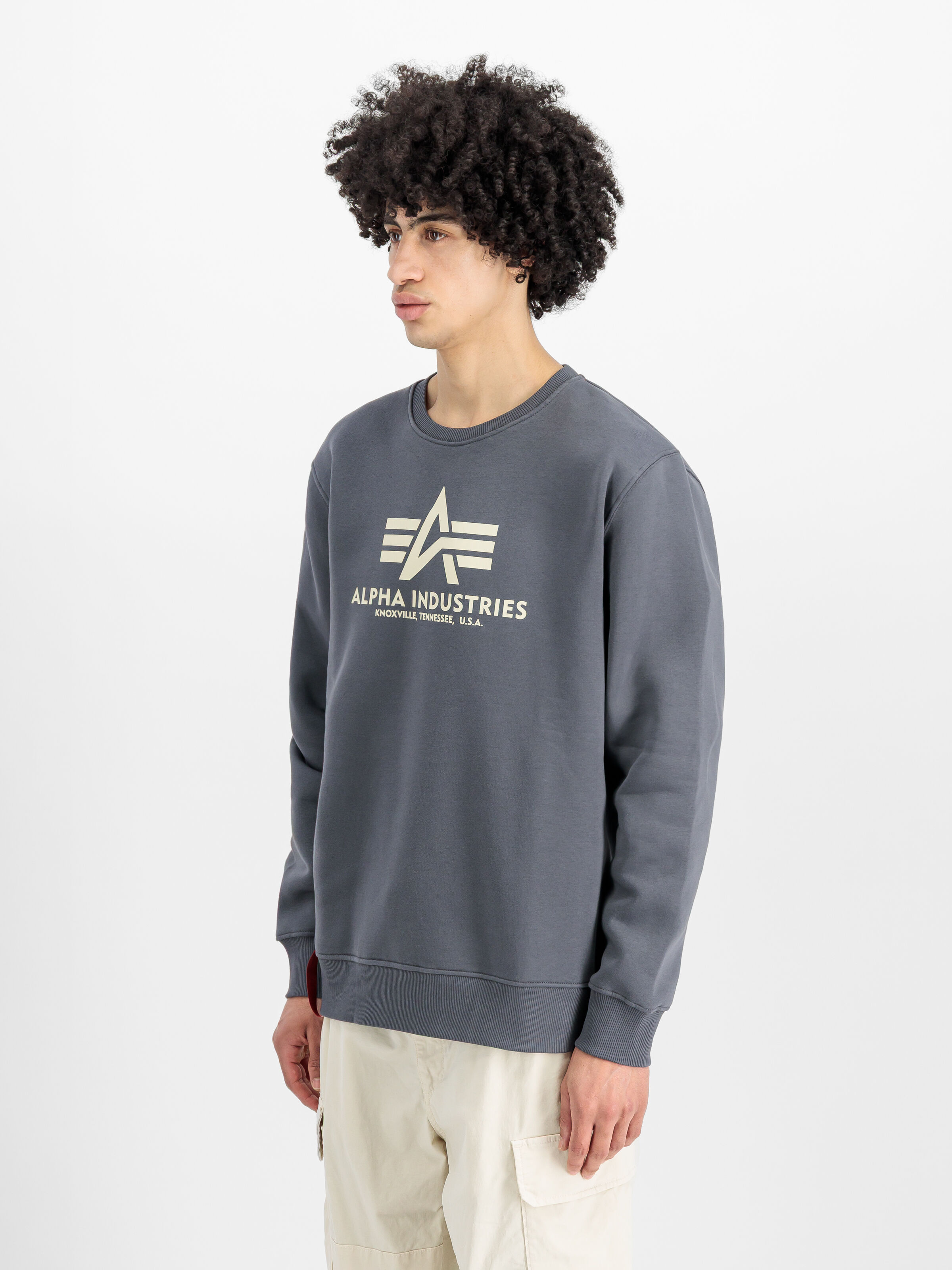 Basic Big Logo Sweatshirt greyblack 178302_136_2_model_00002_155936