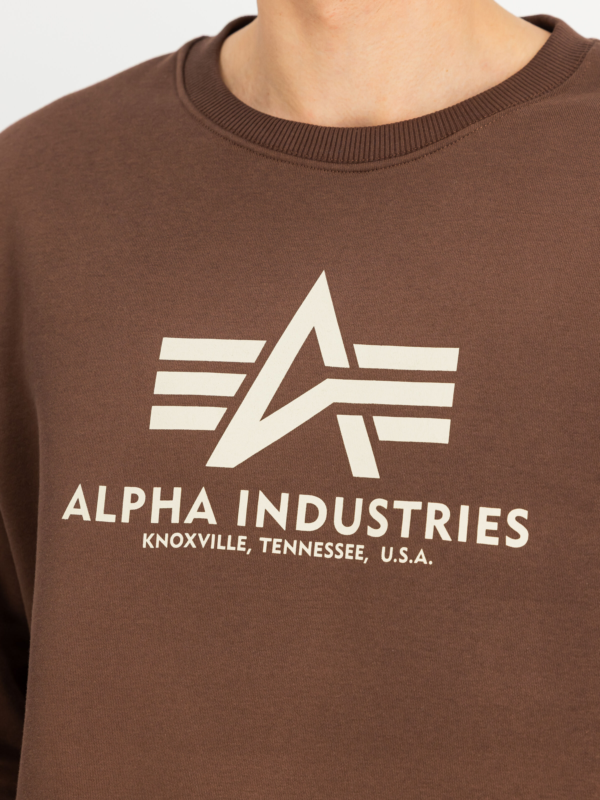 Basic Big Logo Sweatshirt powder brown 178302_204_3_detail_00001_233271