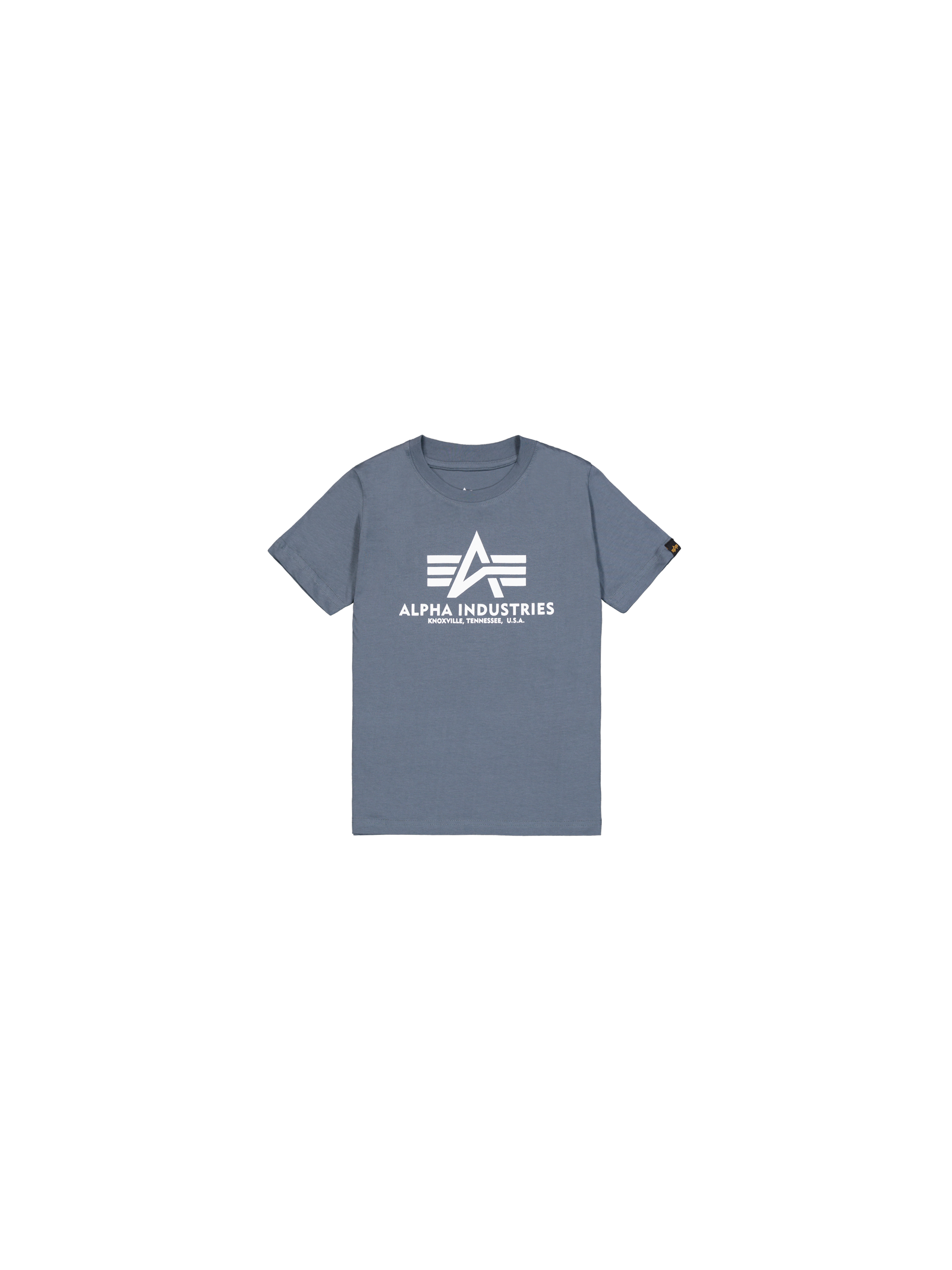 Basic Big Logo T-Shirt Kids denim blue 196703_439_1_flatlay_00001_159871.png