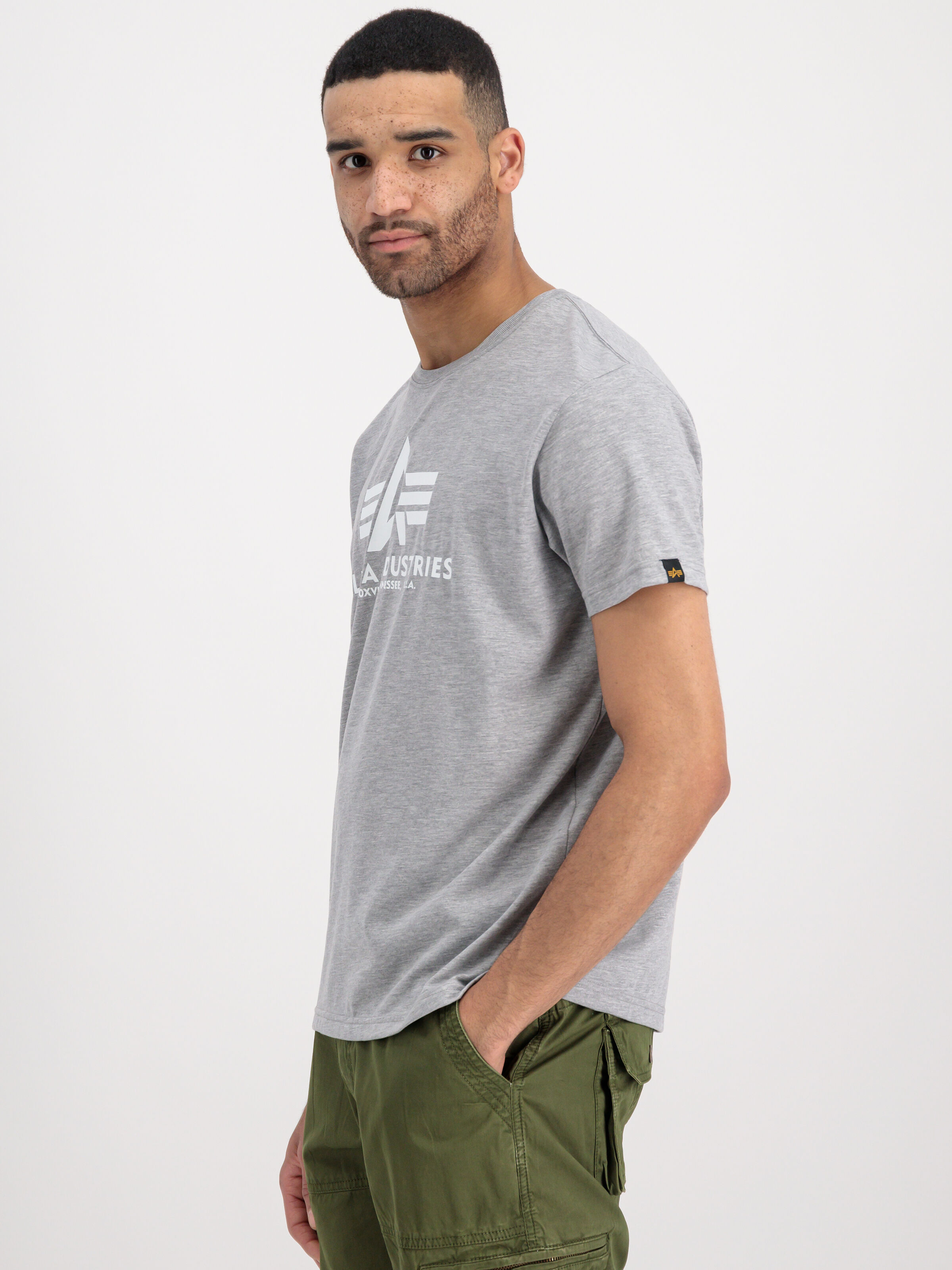 Basic Big Logo T-Shirt greyheather/white 100501_230_alpha_industries_basic_t_001_2_182125