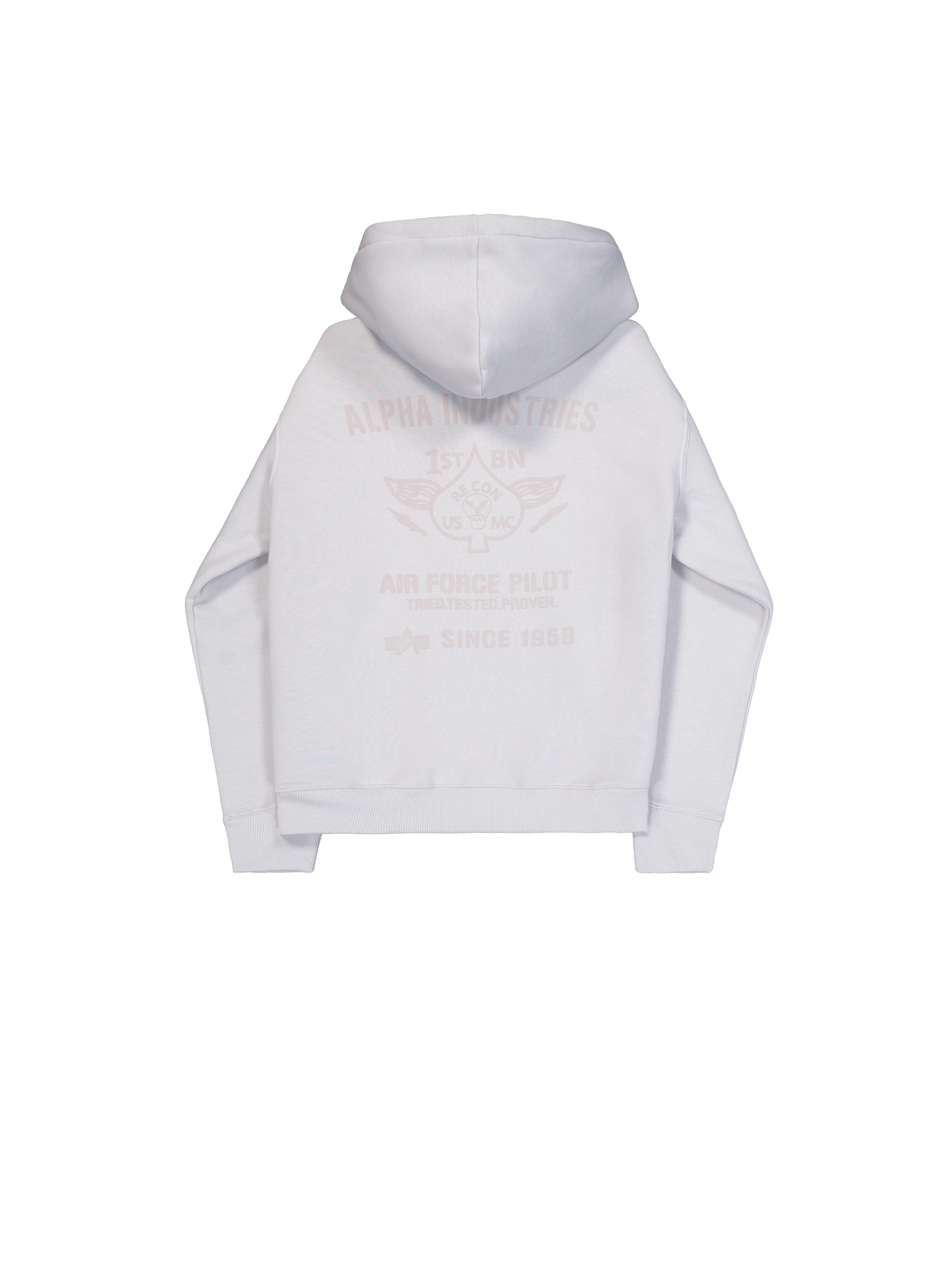 Air Force Hoodie pastel grey 138337_666_1_flatlay_00002_124540
