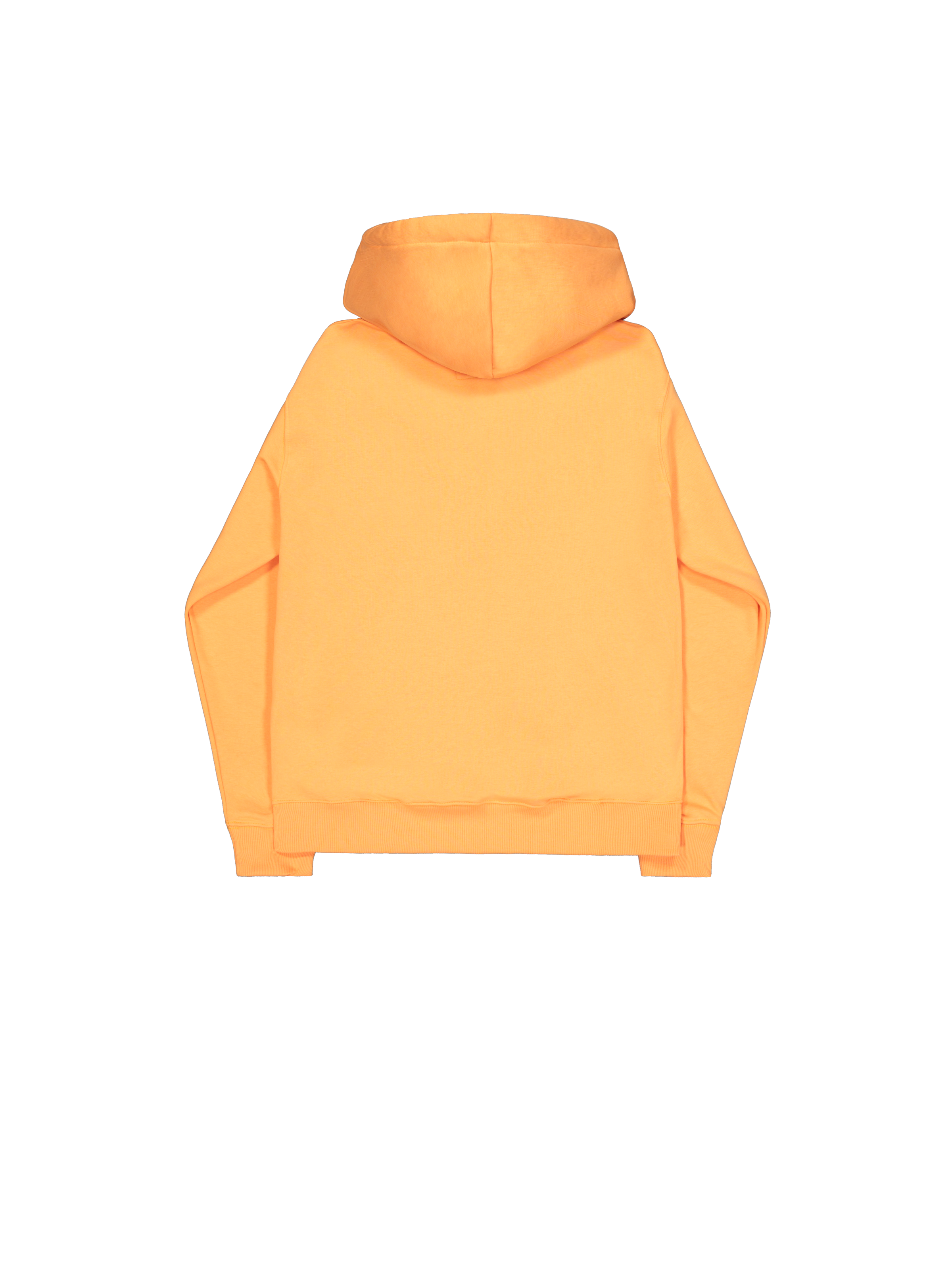 Basic Big Logo Hoodie tangerine 178312_710_1_flatlay_00002_221411