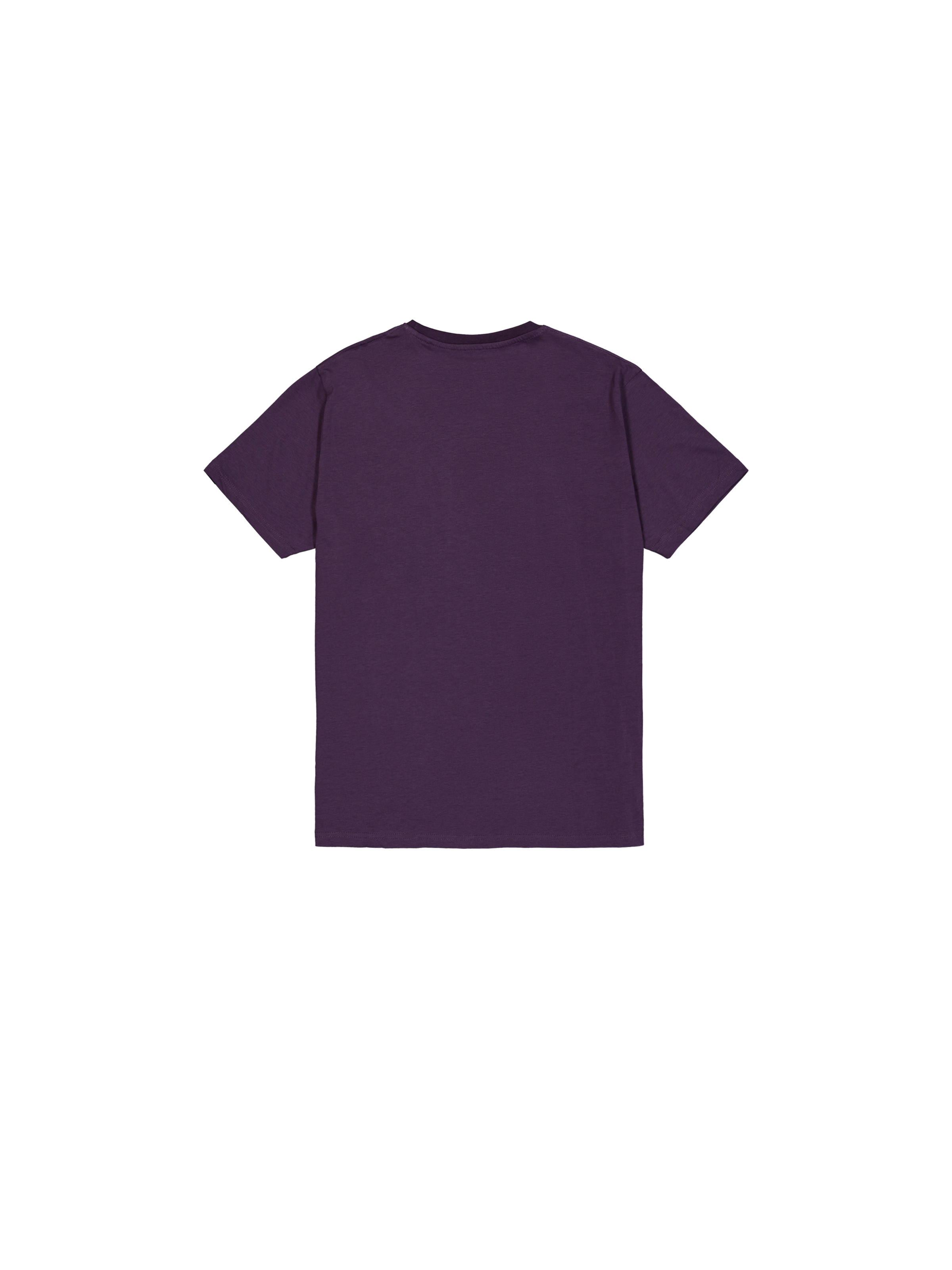 Basic Big Logo Rubber T-Shirt Plum 100501RB_719_1_flatlay_00002_129257