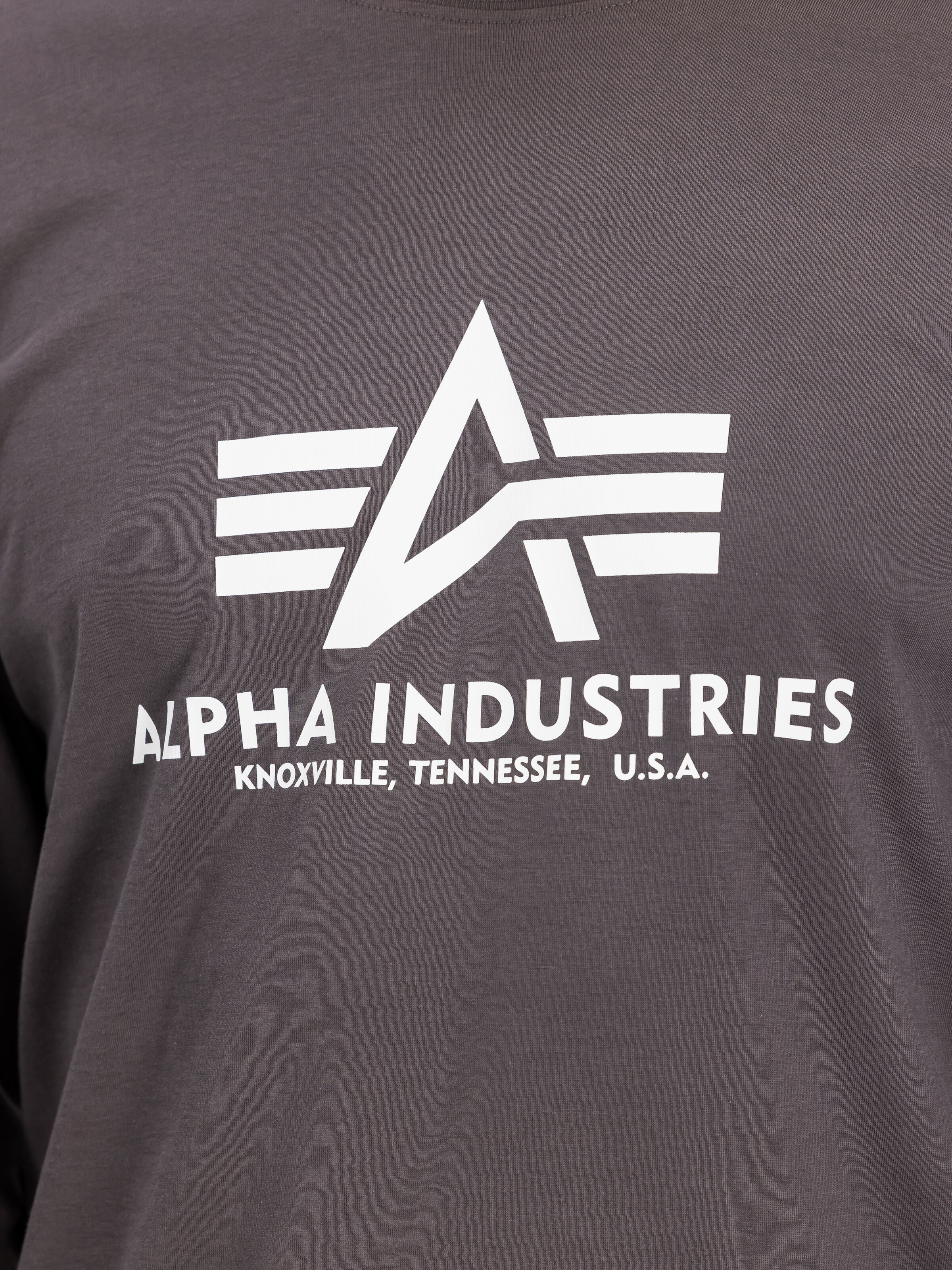 Basic Big Logo Longsleeve vintage grey 100510_684_3_detail_00001_185446