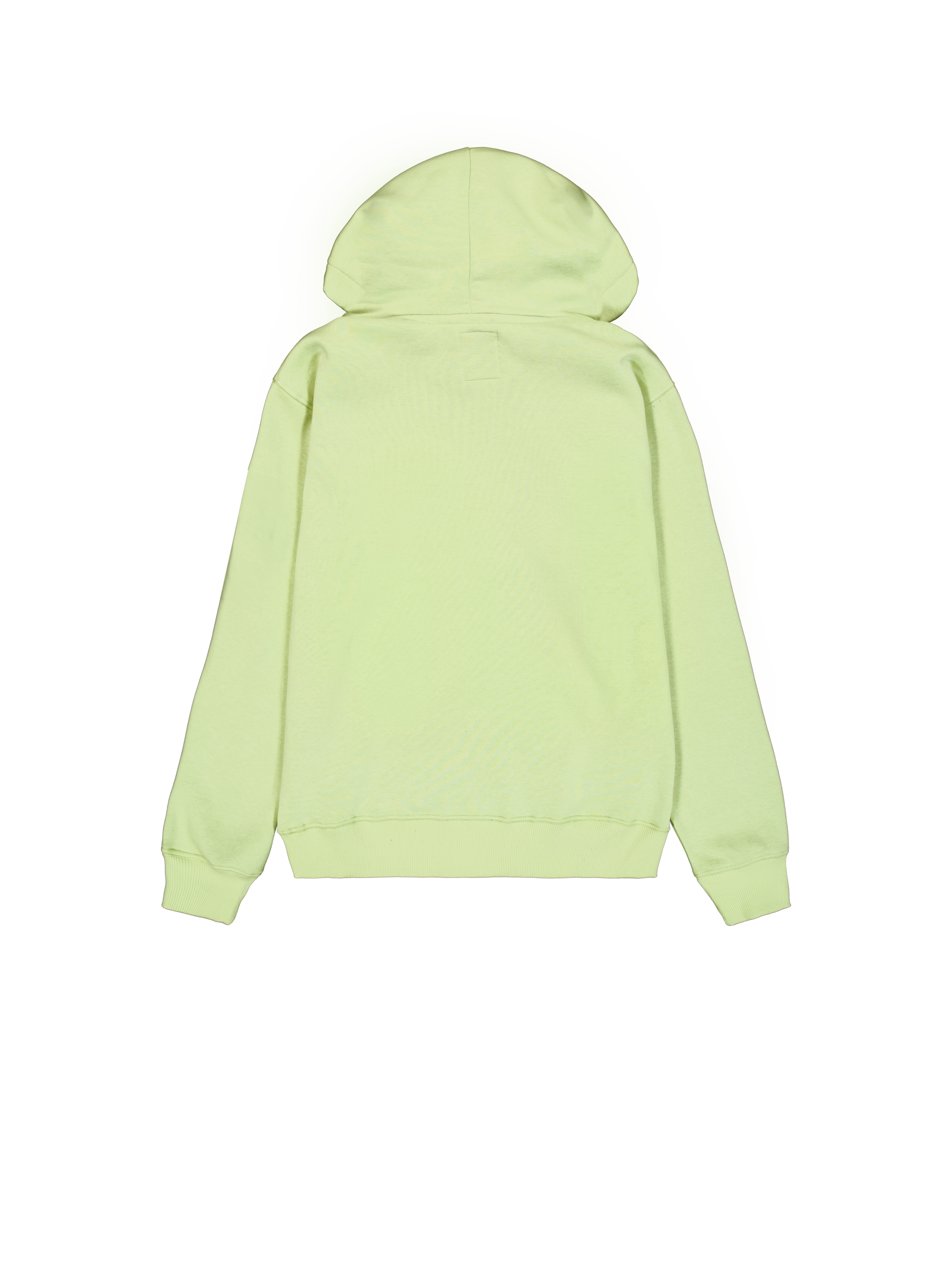 Basic Small Logo Hoodie Arctic Lime 196318_722_1_flatlay_00002_96940