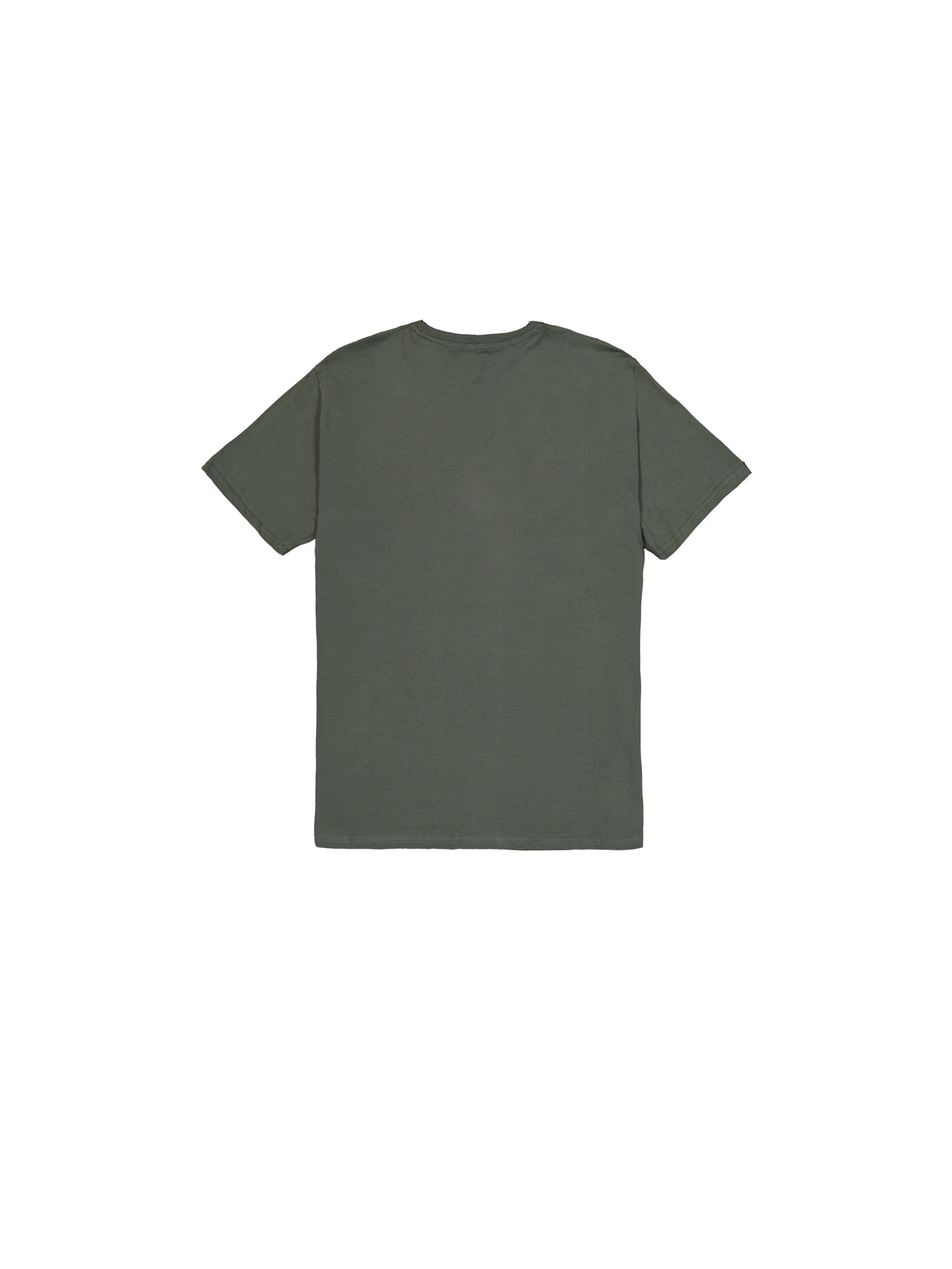 Basic Small Logo T-Shirt dark olive 188505_142_1_flatlay_00002_102654