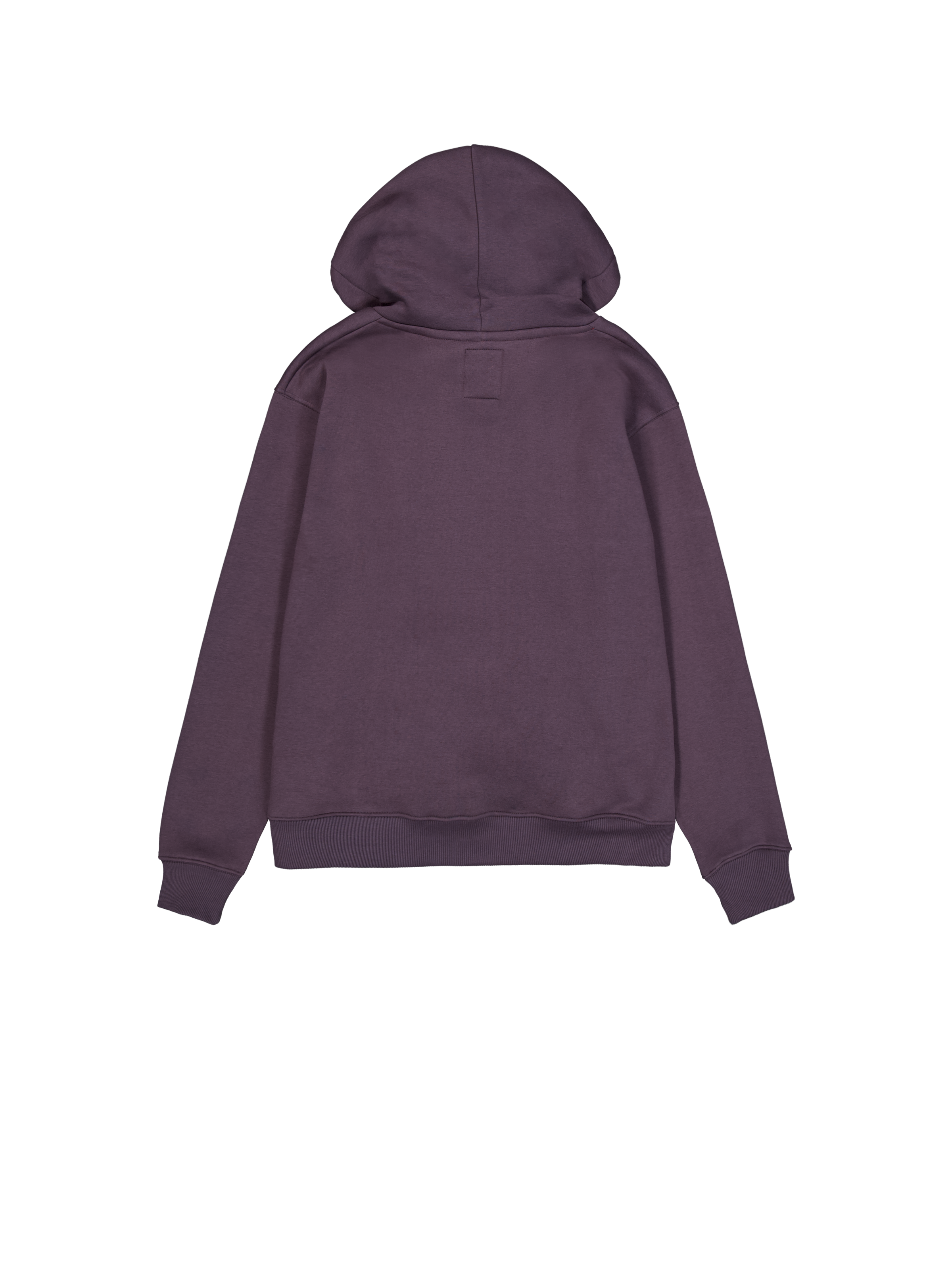 Basic Big Logo Zip Hoodie Plum 178325_719_1_flatlay_00002_97486