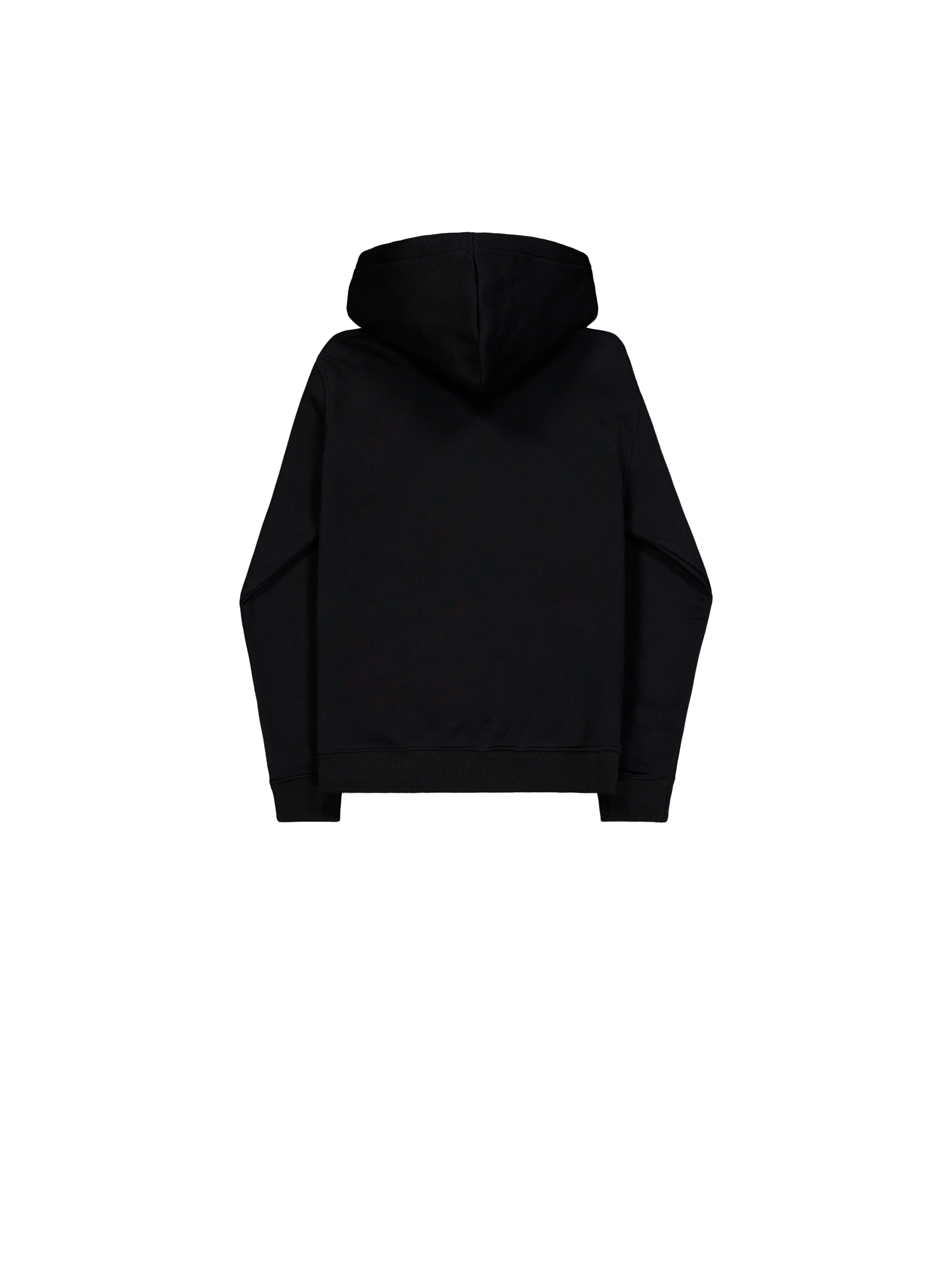 Basic Big Logo Mirror Leo Hoodie Women black 196032ML_03_1_flatlay_00002_175141