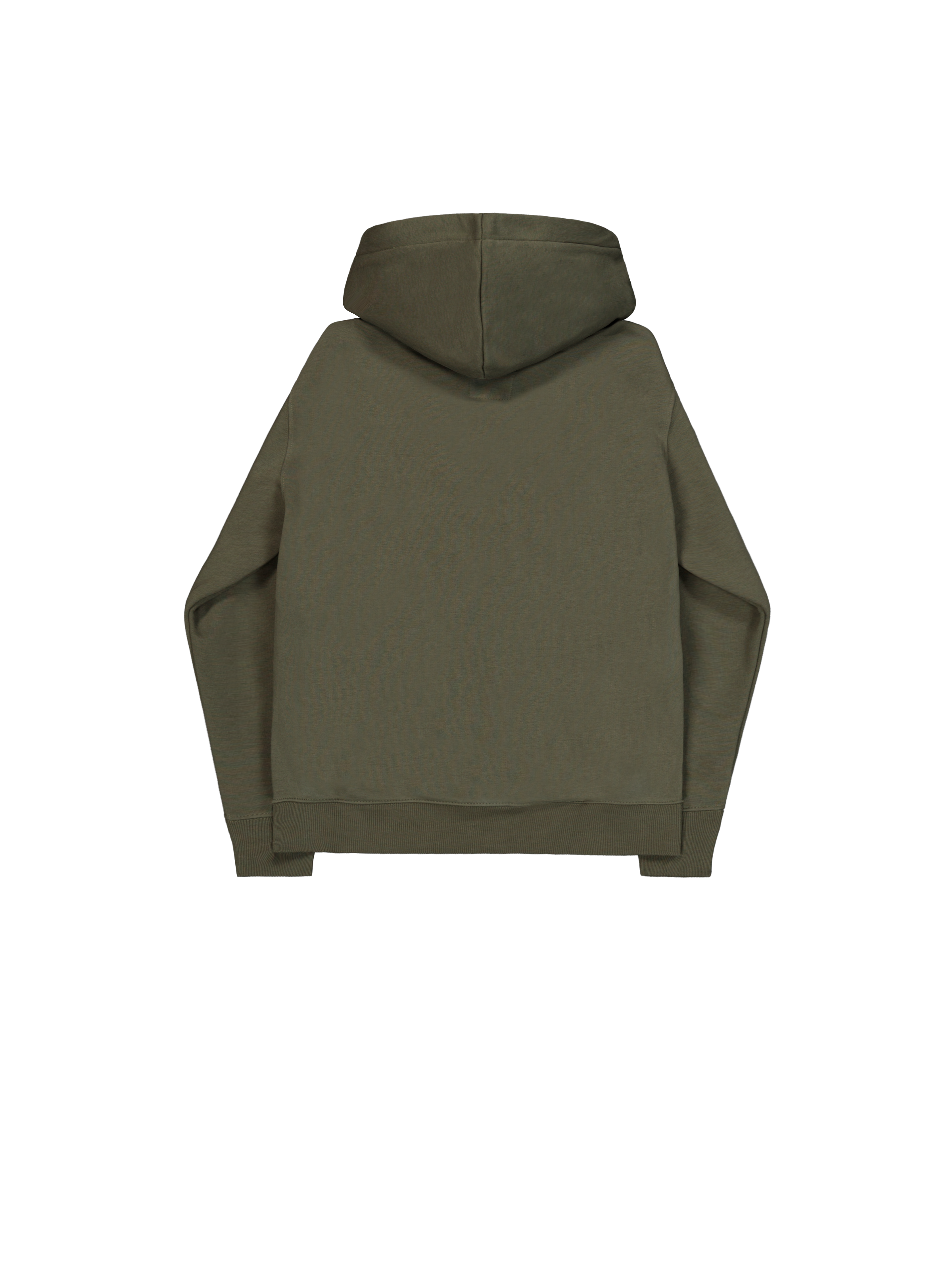 Basic Big Logo Hoodie dark green 178312_257_1_flatlay_00002_221608