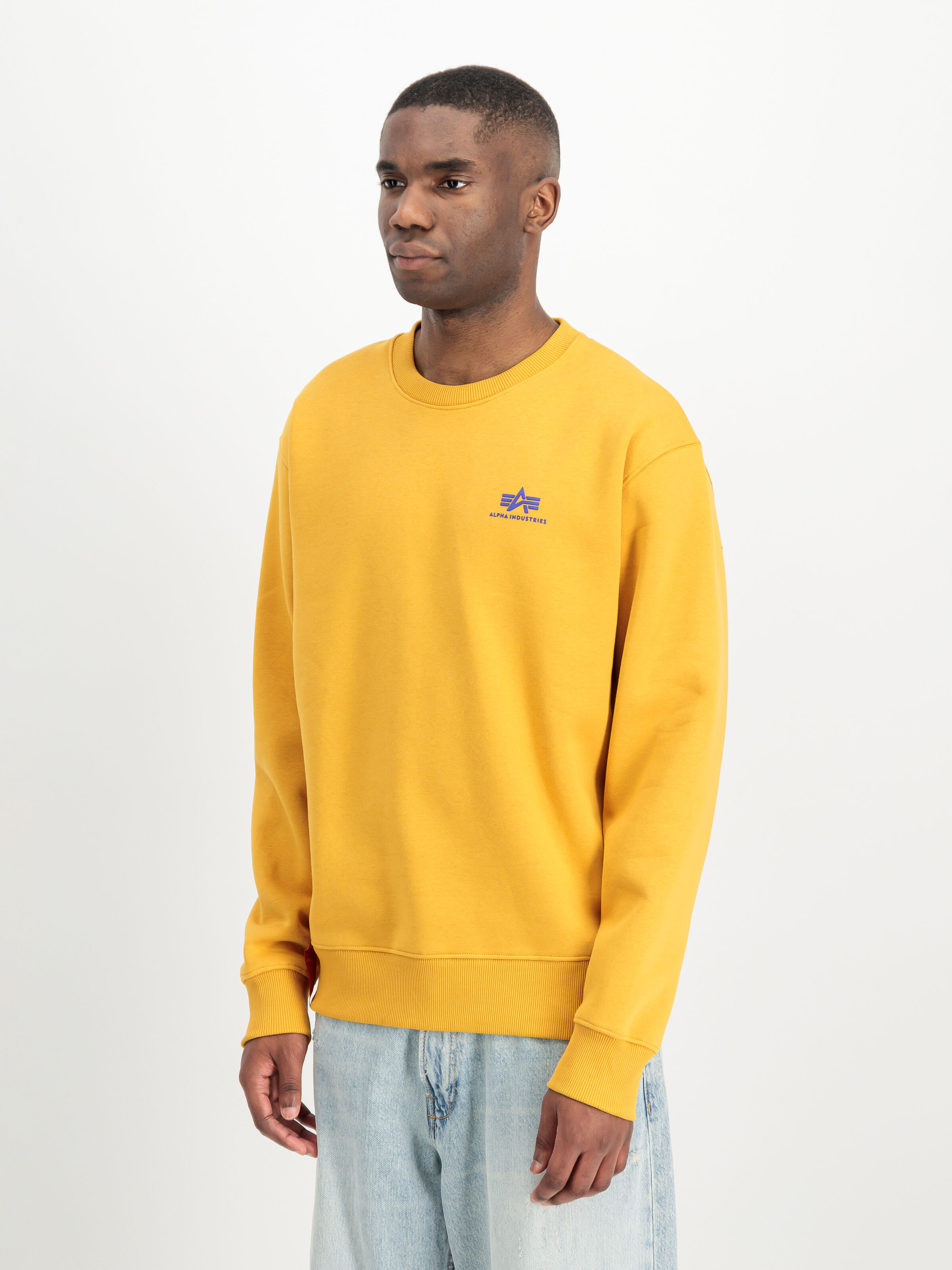 Basic Small Logo Sweatshirt wheat/blue 188307_776_2_model_00002_226767