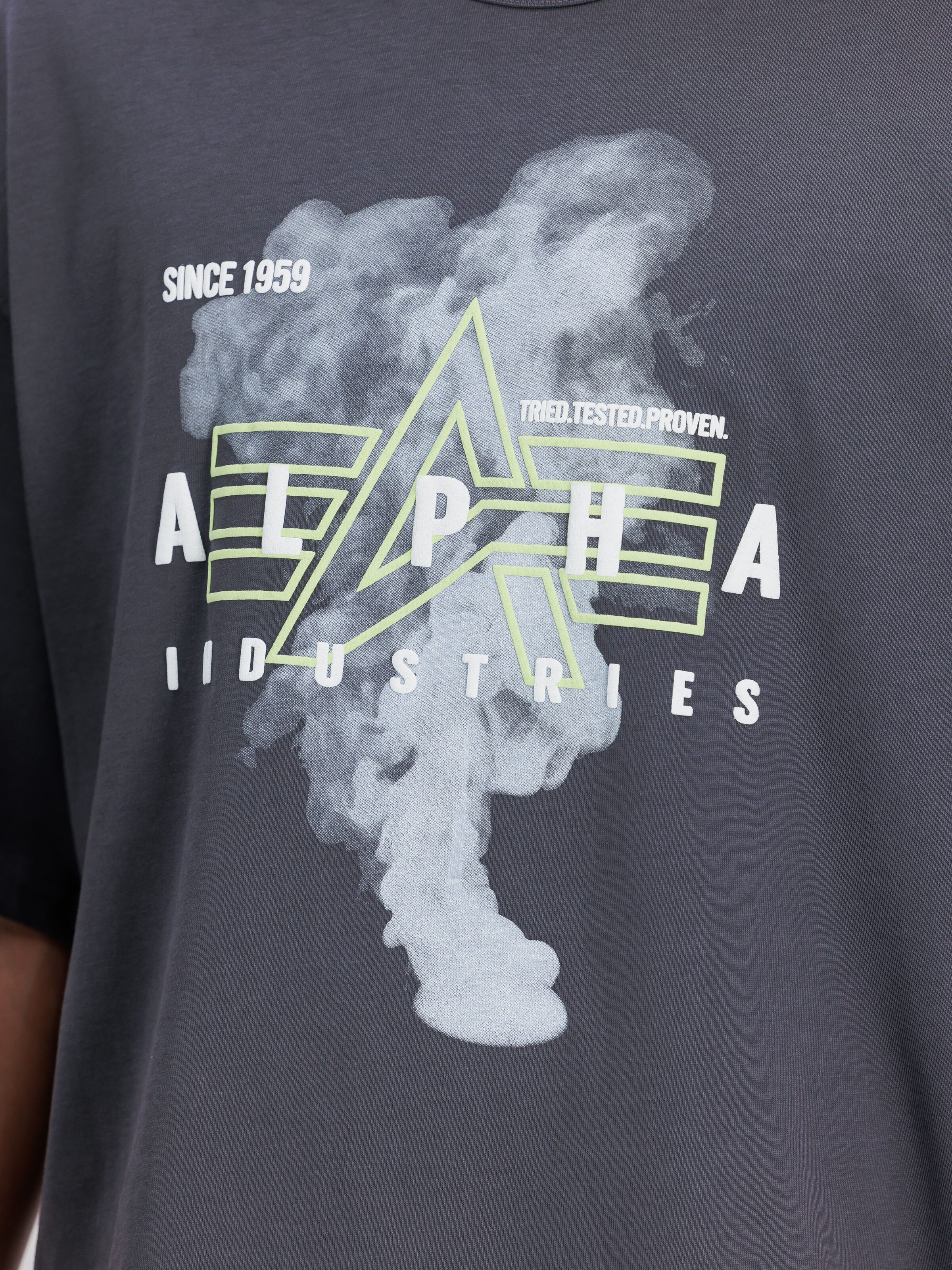 Smoke Logo T-Shirt vintage grey 148508_684_3_detail_00001_107328