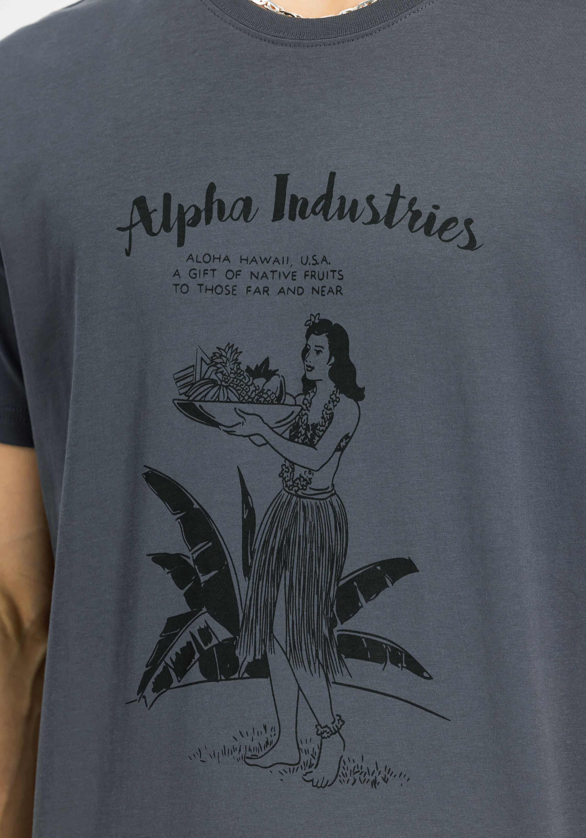 Alpha Hawaii T-Shirt vintage grey 156525_684_3_detail_00001_147296