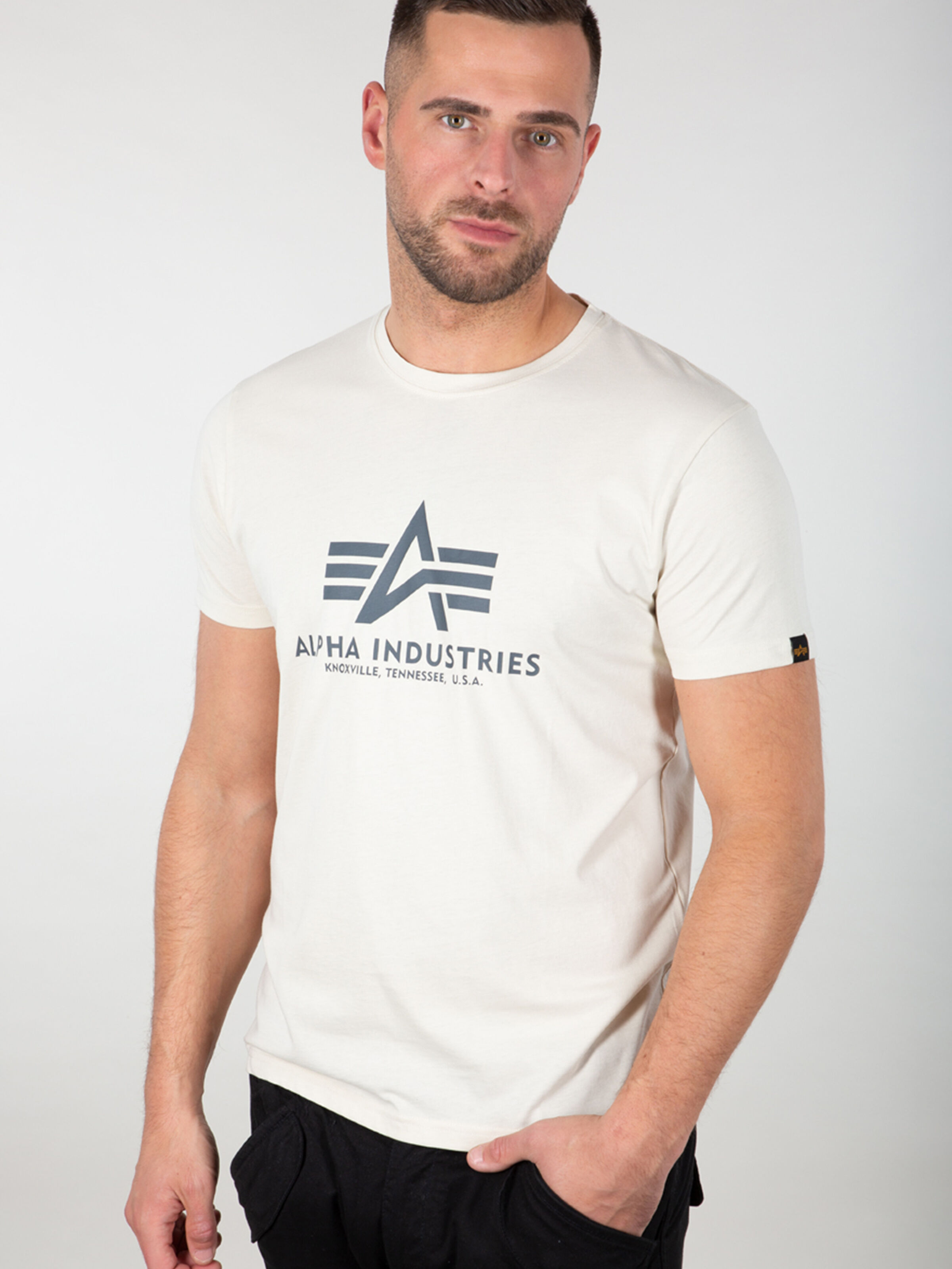 Basic Big Logo T-Shirt jet stream white 100501_578_alphaindustries_basic_t_001_182685