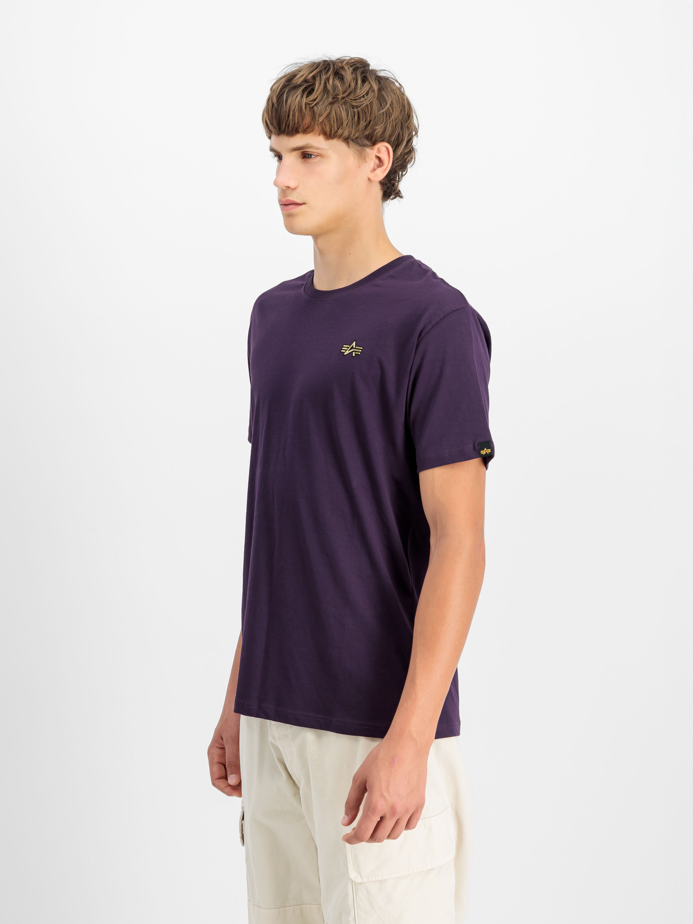 3D Small Logo T-Shirt Plum 148511_719_2_model_00003_107199