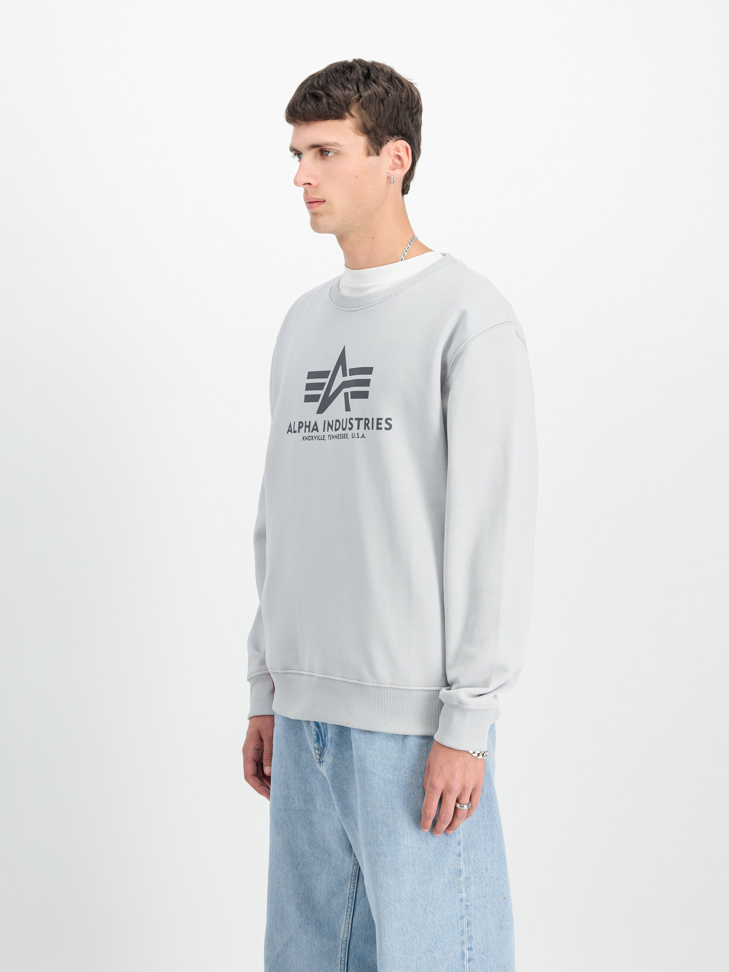 Basic Big Logo Sweatshirt pastel grey 178302_666_2_model_00003_122515