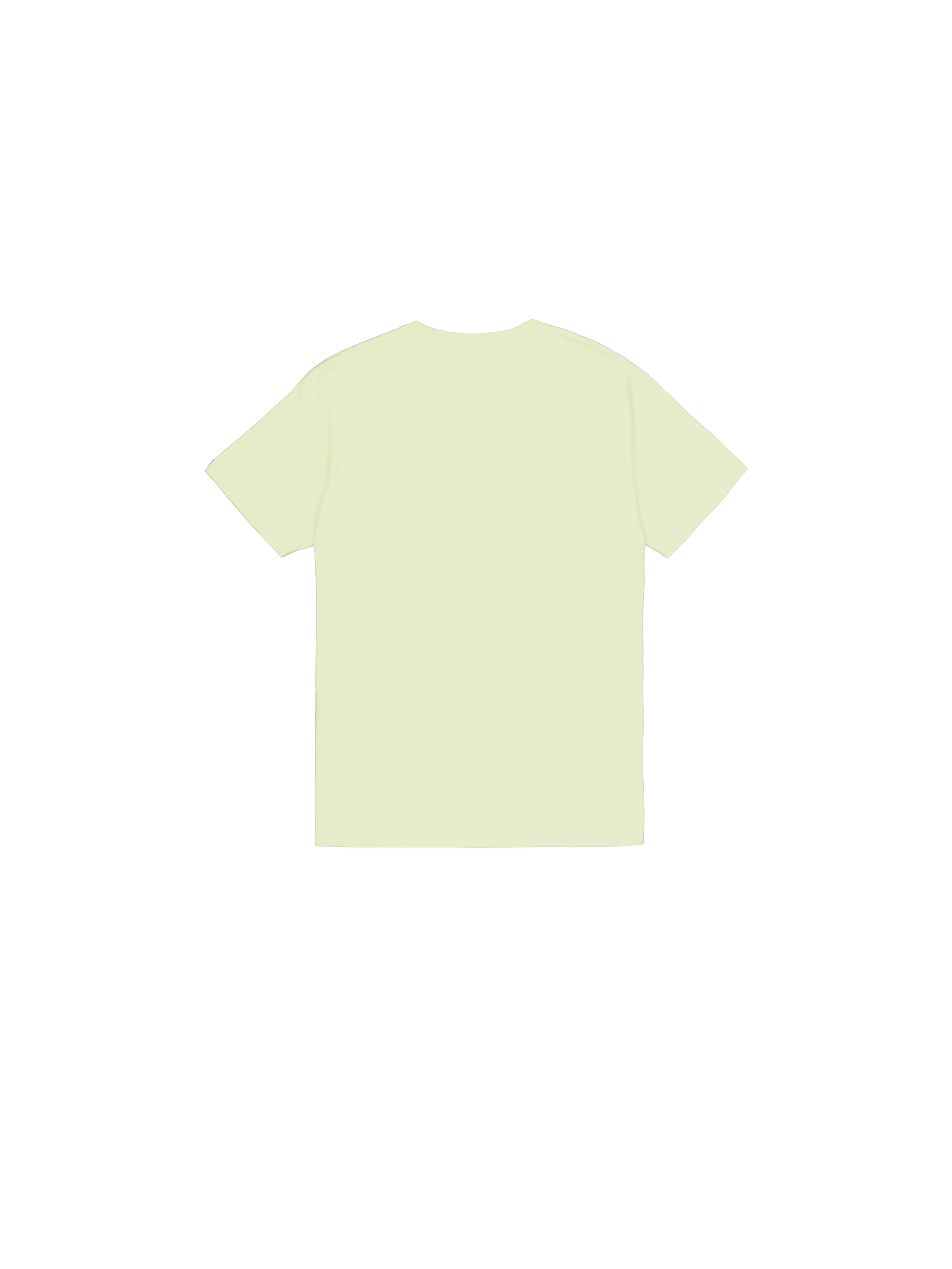 Basic Big Logo T-Shirt Arctic Lime 100501_722_1_flatlay_00002_97014